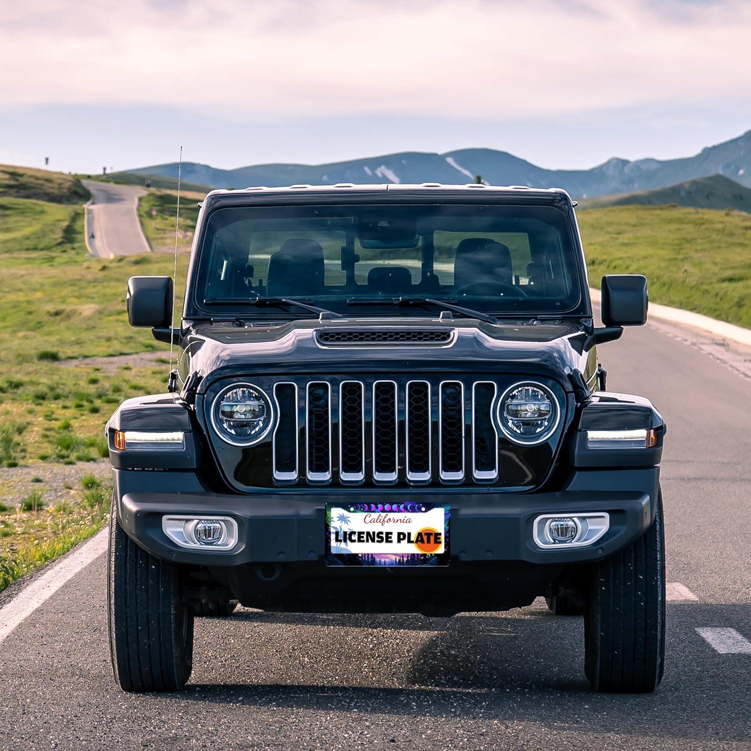 Marco de Placa de Licencia TINALUIN Acero Inoxidable 16x30.9cm