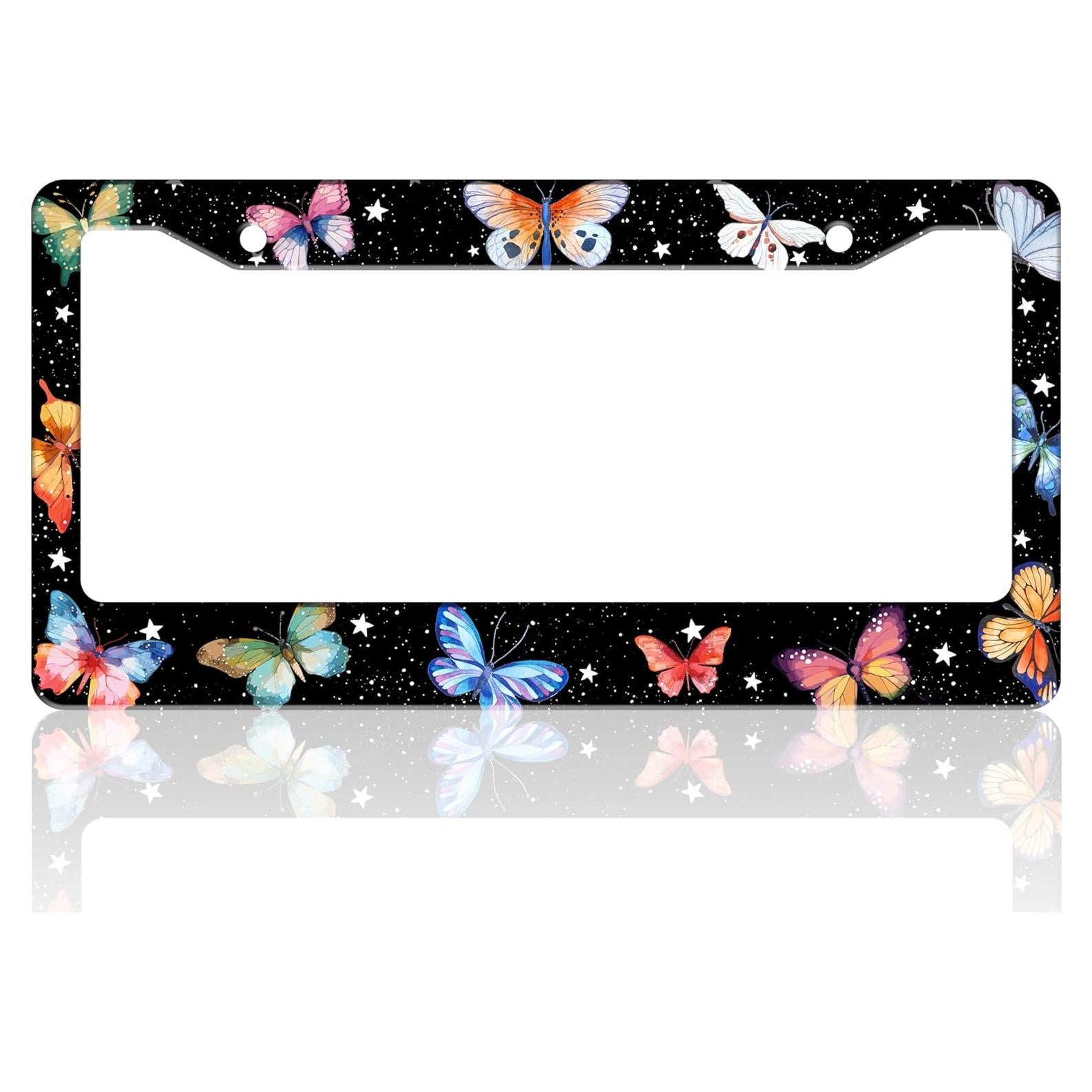 Marco de Placa de Licencia TINALUIN Acero Inoxidable 16x30.9cm