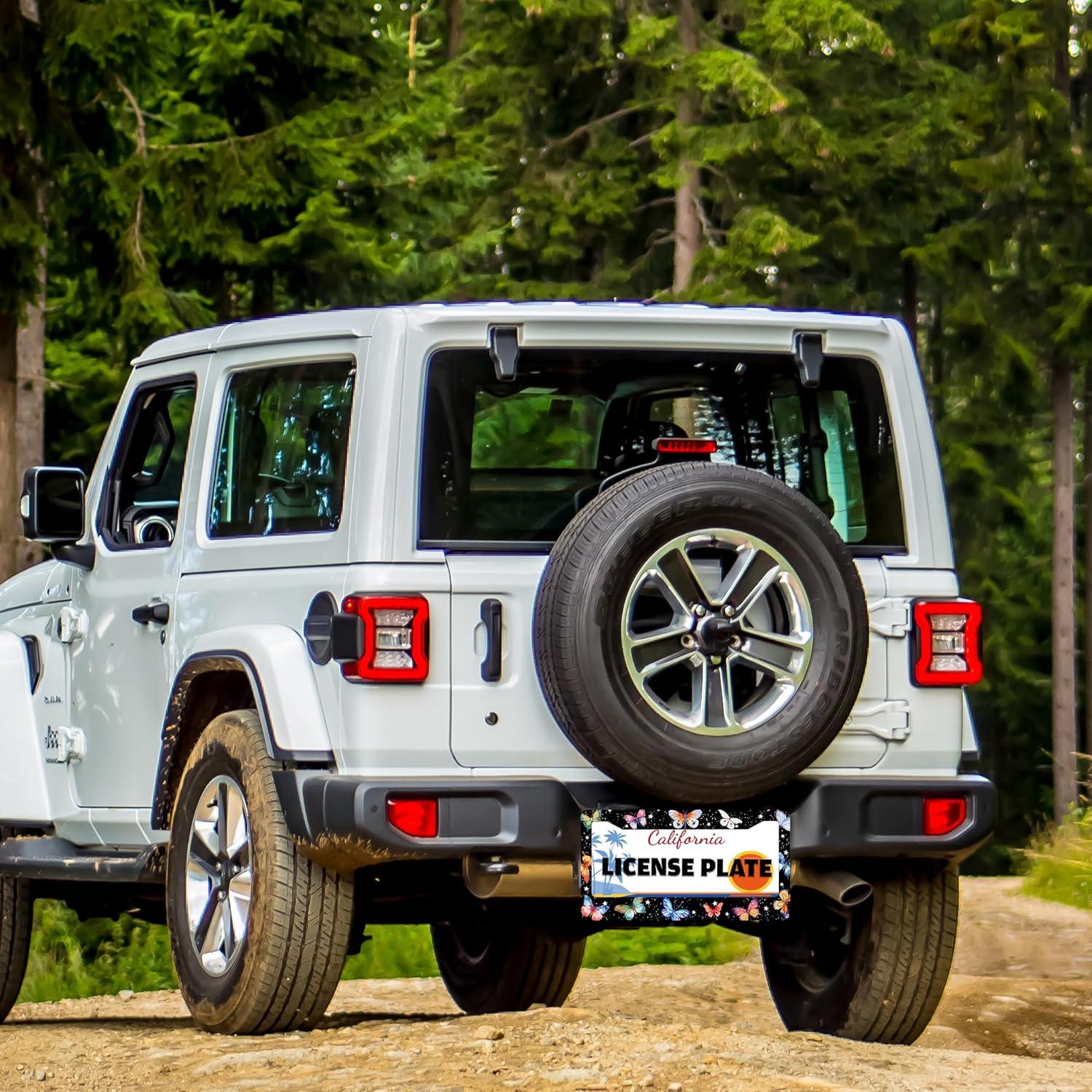 Marco de Placa de Licencia TINALUIN Acero Inoxidable 16x30.9cm