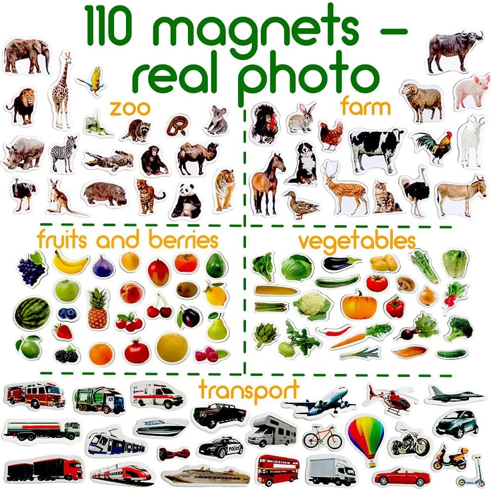 Imanes de Nevera Educativos Magdum - Set 110 Piezas Colorido