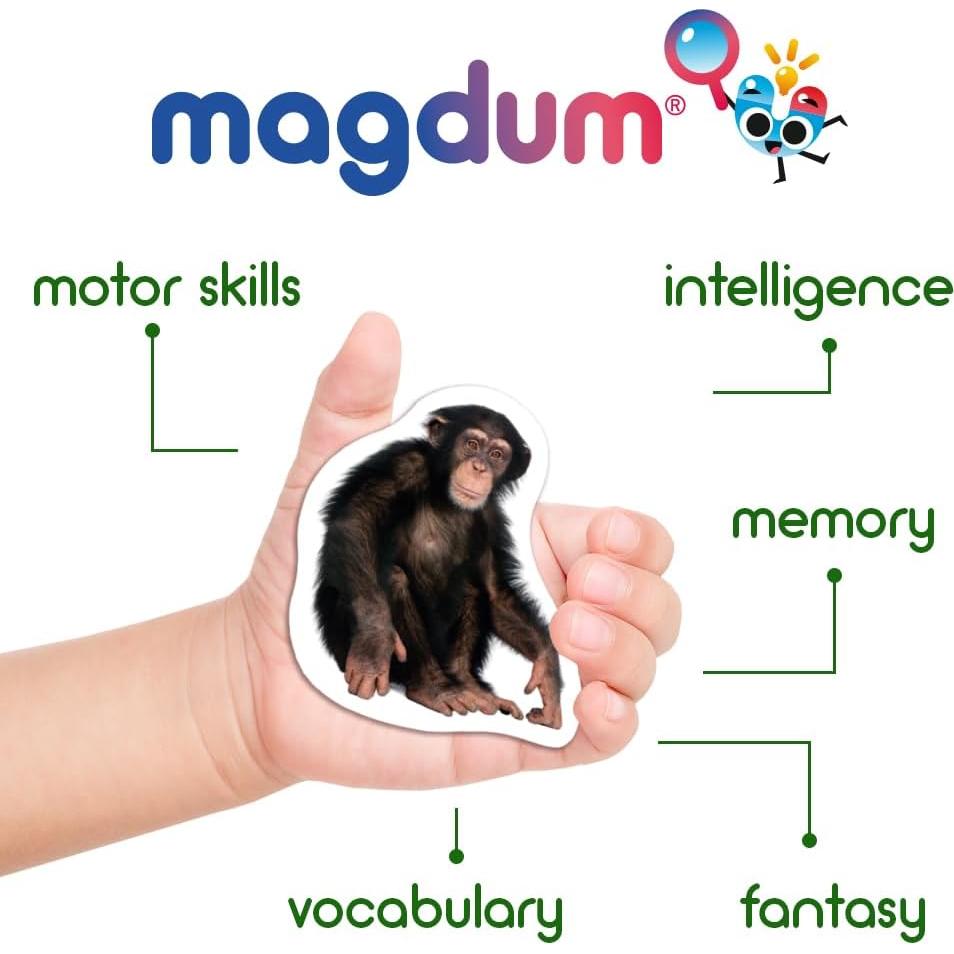 Imanes de Nevera Educativos Magdum - Set 110 Piezas Colorido