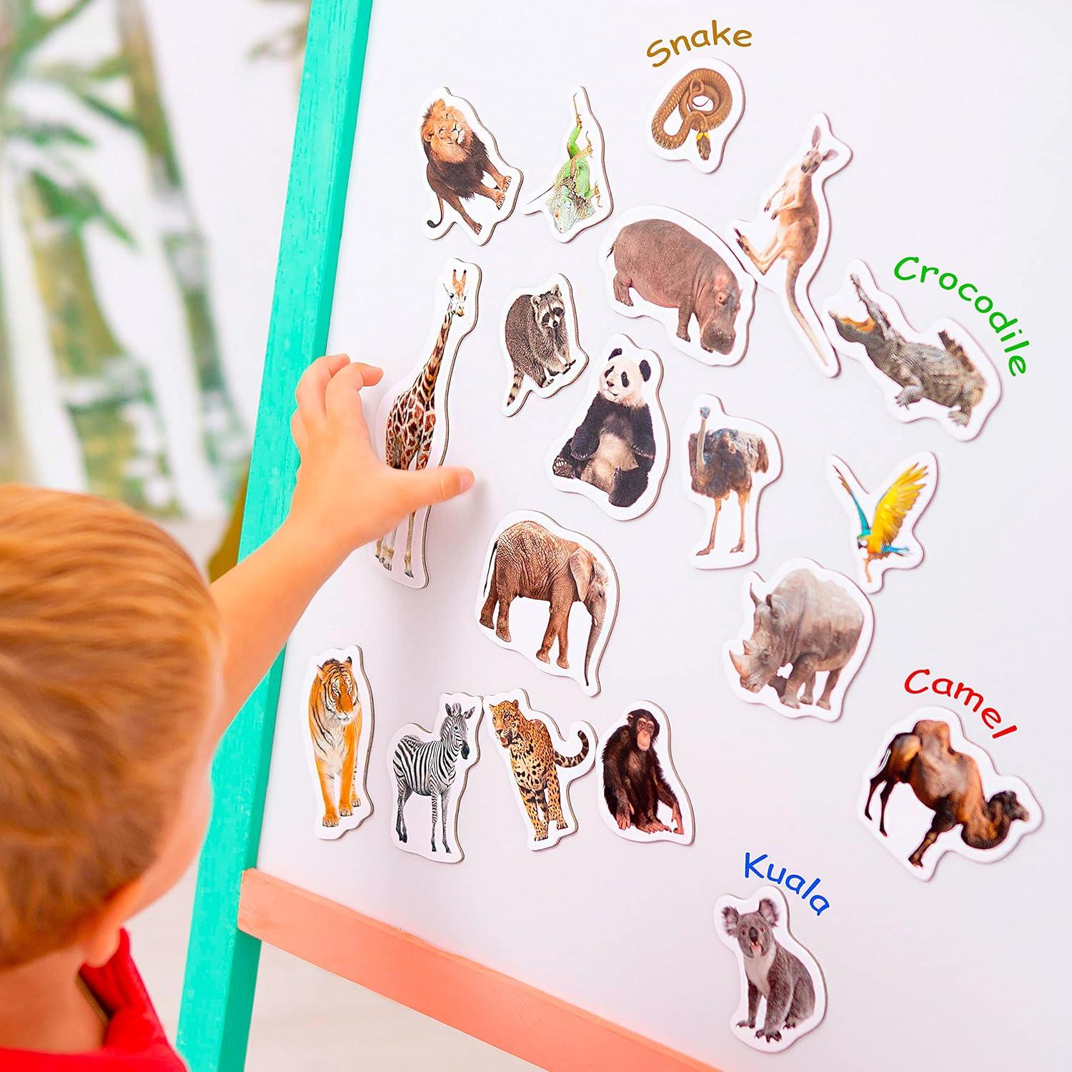 Imanes de Nevera Educativos Magdum - Set 110 Piezas Colorido