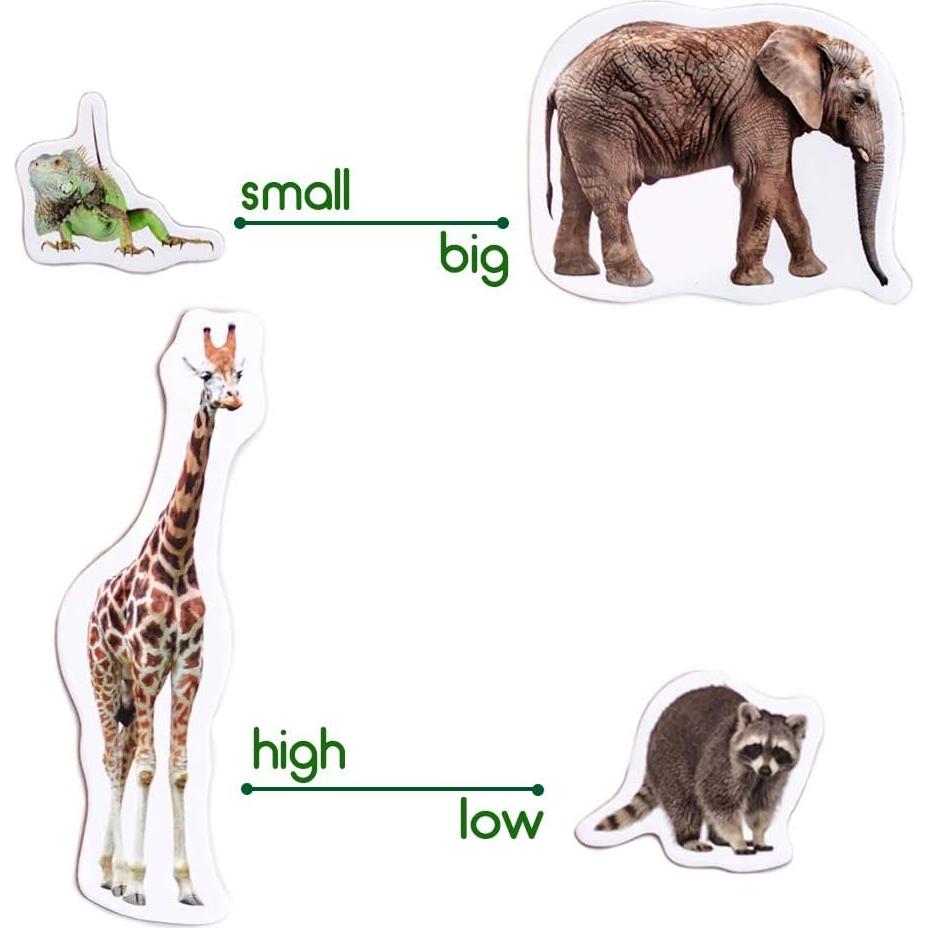 Imanes de Nevera Educativos Magdum - Set 110 Piezas Colorido