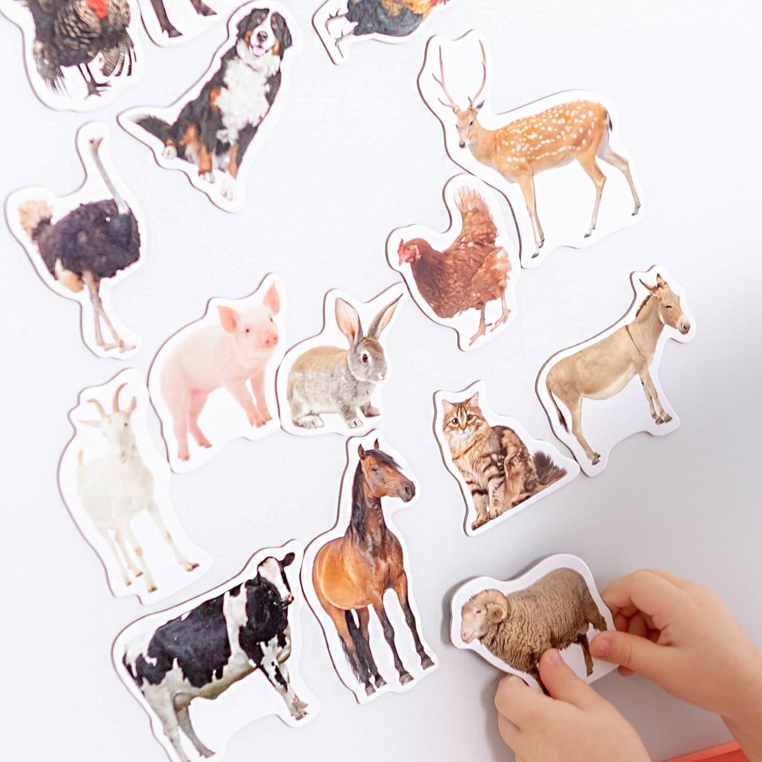 Imanes de Nevera Educativos Magdum - Set 110 Piezas Colorido