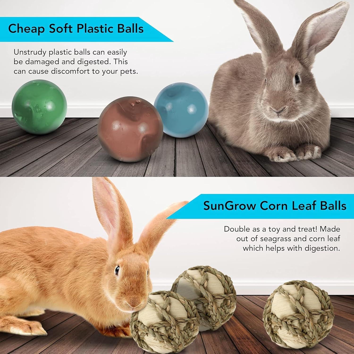 Bola de Hoja de Maíz SunGrow para Conejos y Mascotas - 6 Paquete