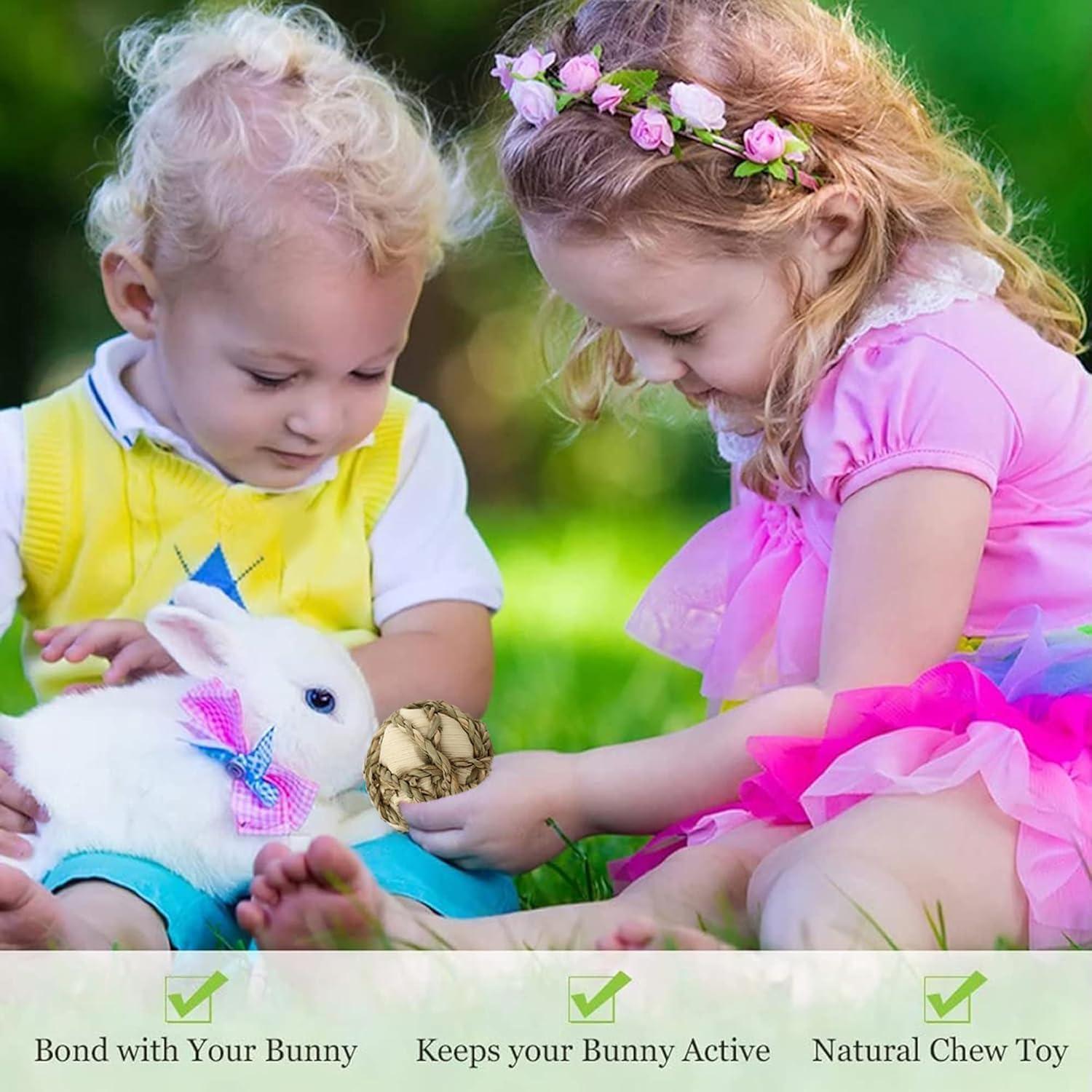 Bola de Hoja de Maíz SunGrow para Conejos y Mascotas - 6 Paquete