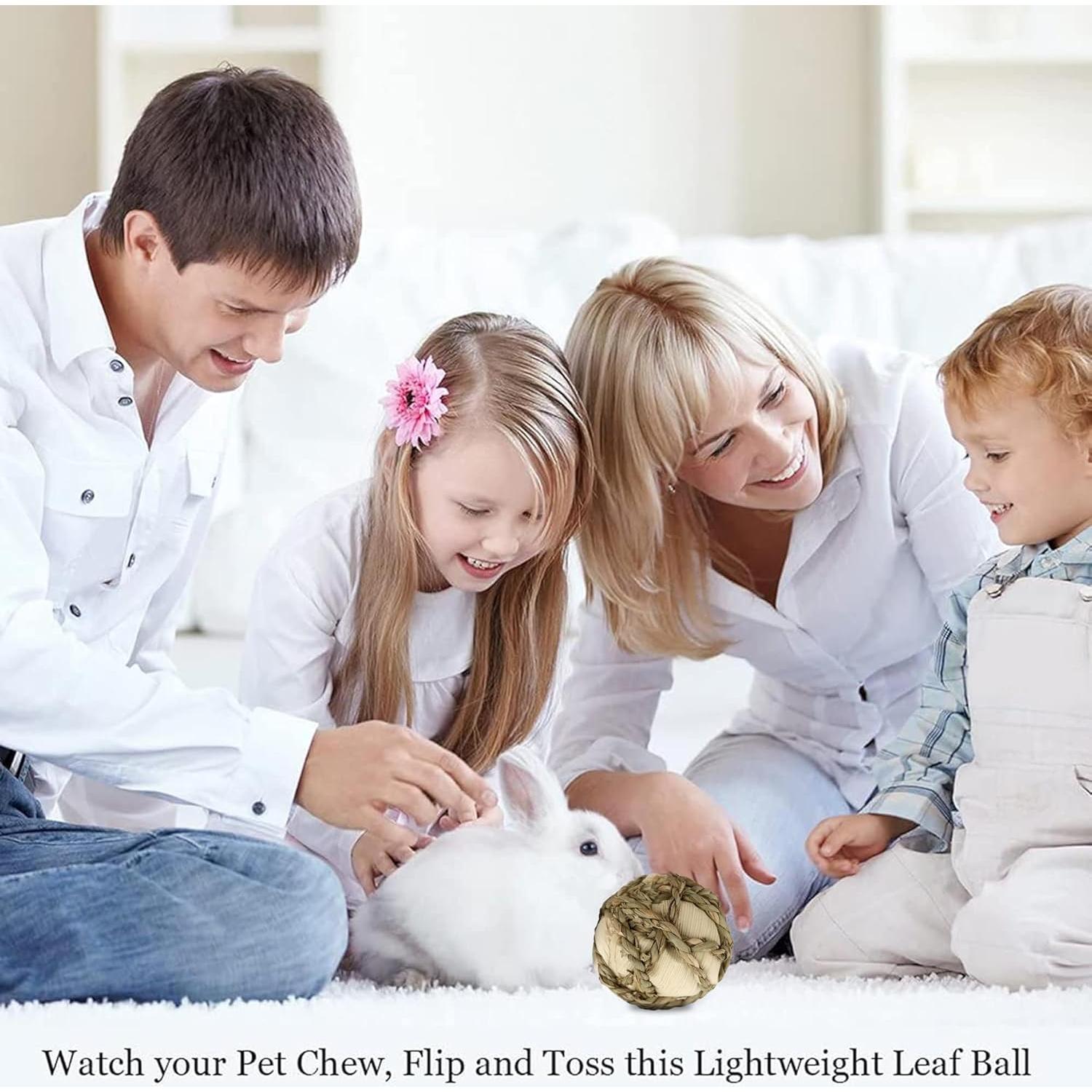 Bola de Hoja de Maíz SunGrow para Conejos y Mascotas - 6 Paquete