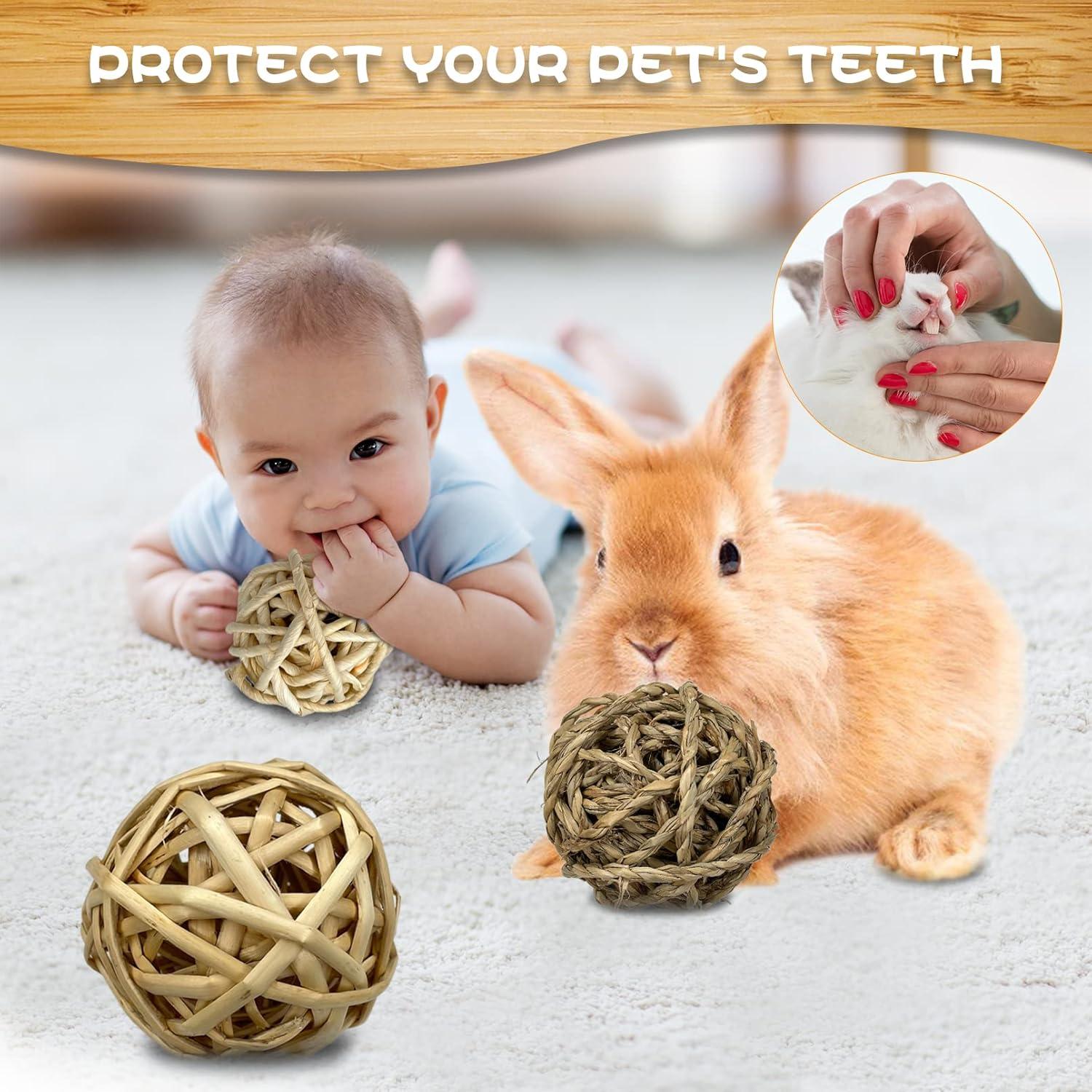 Juguete de Masticar para Conejos Tfwadmx 6 Piezas Natural