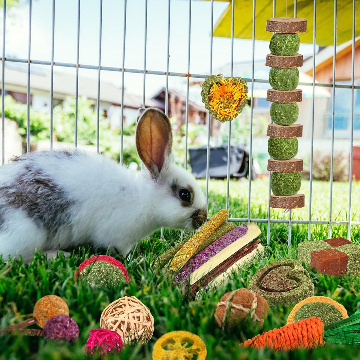 Juguetes Naturales para Conejos y Hámsters YIXUND - 27 Pcs