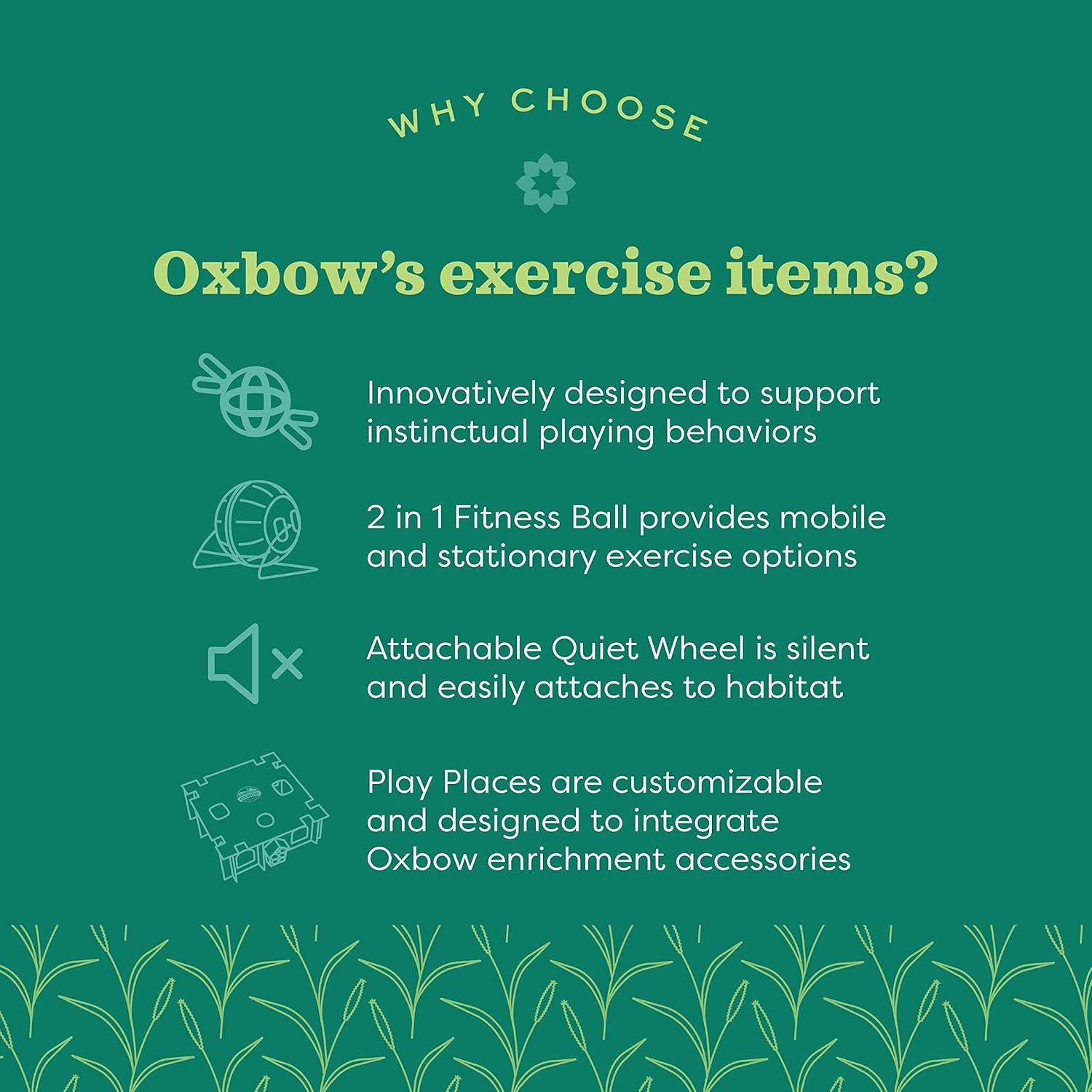 Bola de Correr Oxbow 14.5 cm para Hámster y Ratones