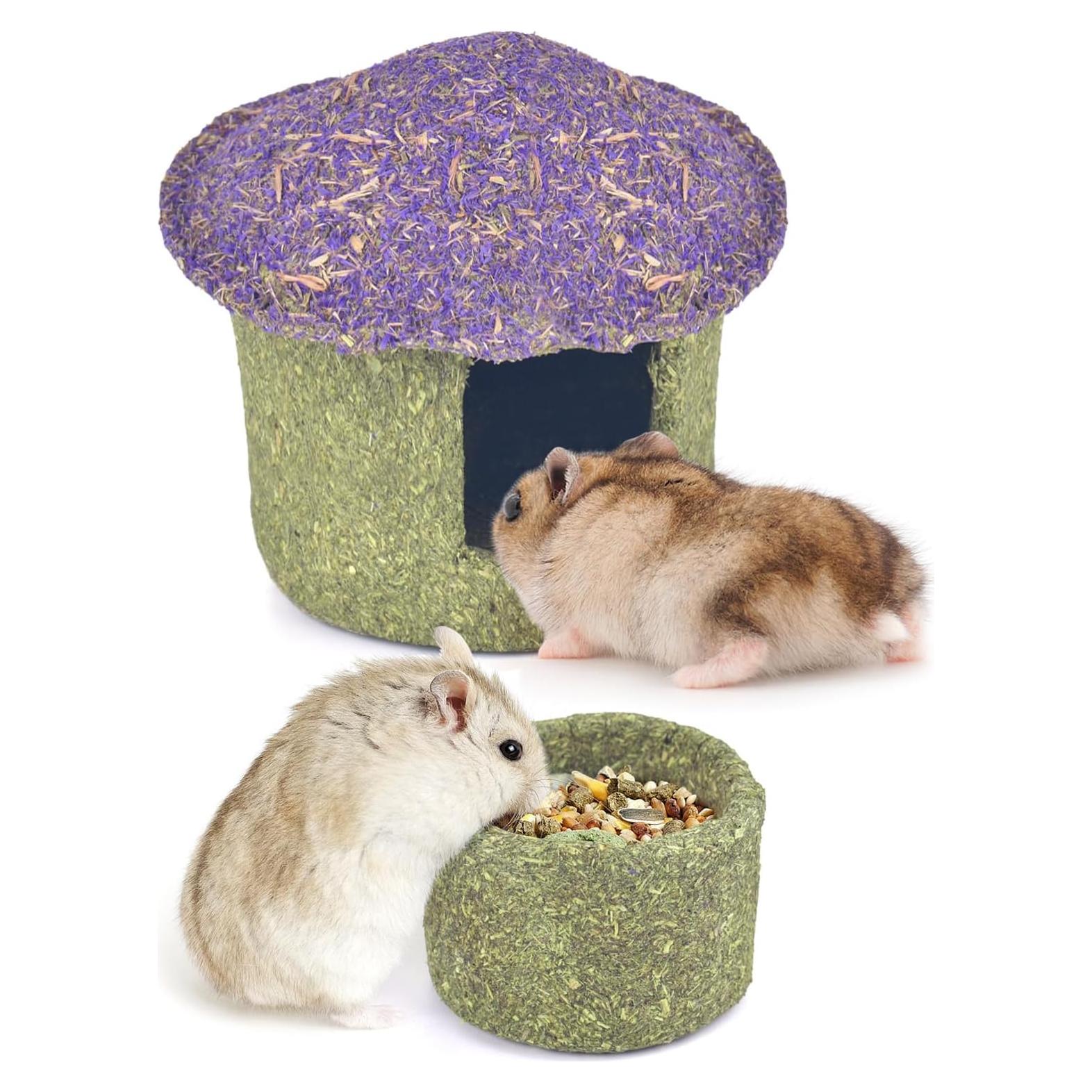 Tazón Masticable ERKOON para Hámster y Roedores Pequeños