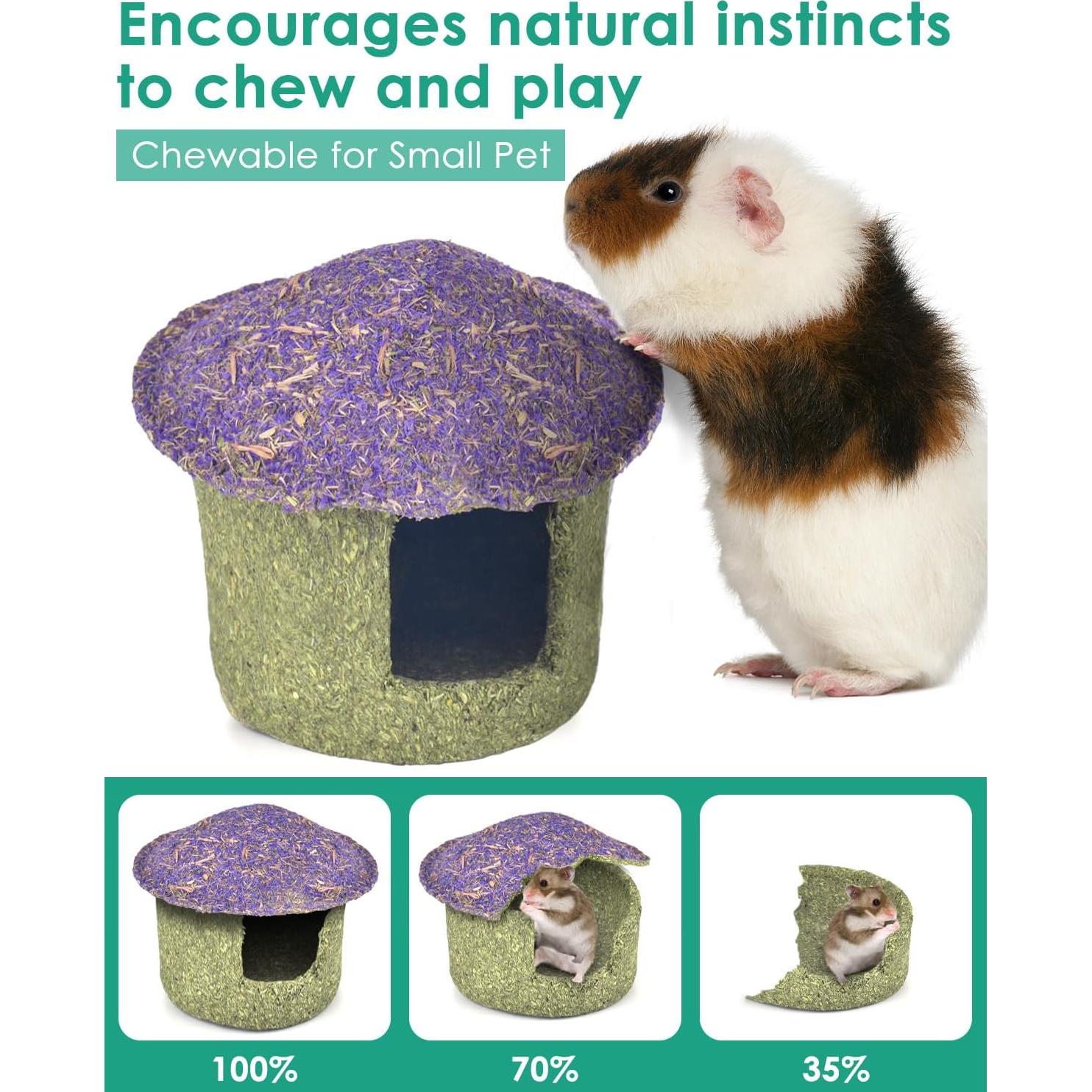 Tazón Masticable ERKOON para Hámster y Roedores Pequeños