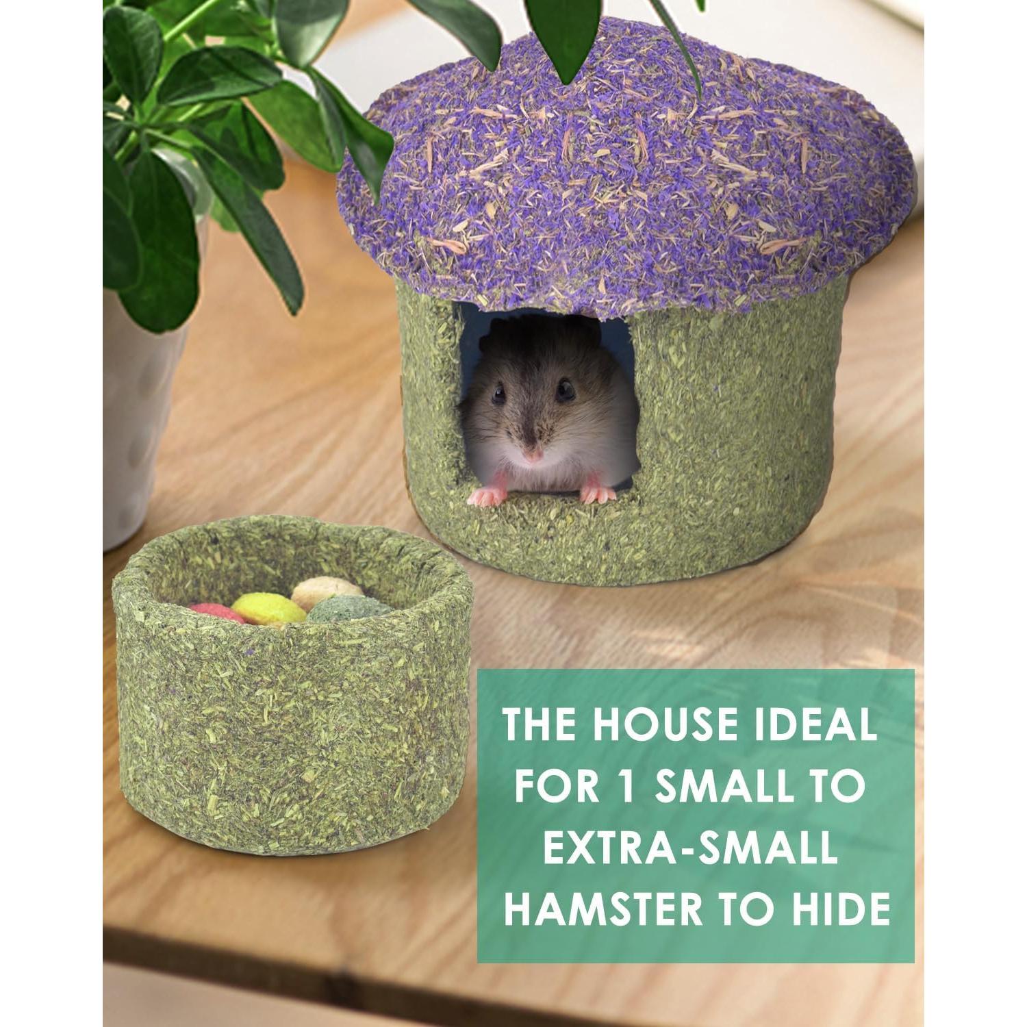 Tazón Masticable ERKOON para Hámster y Roedores Pequeños