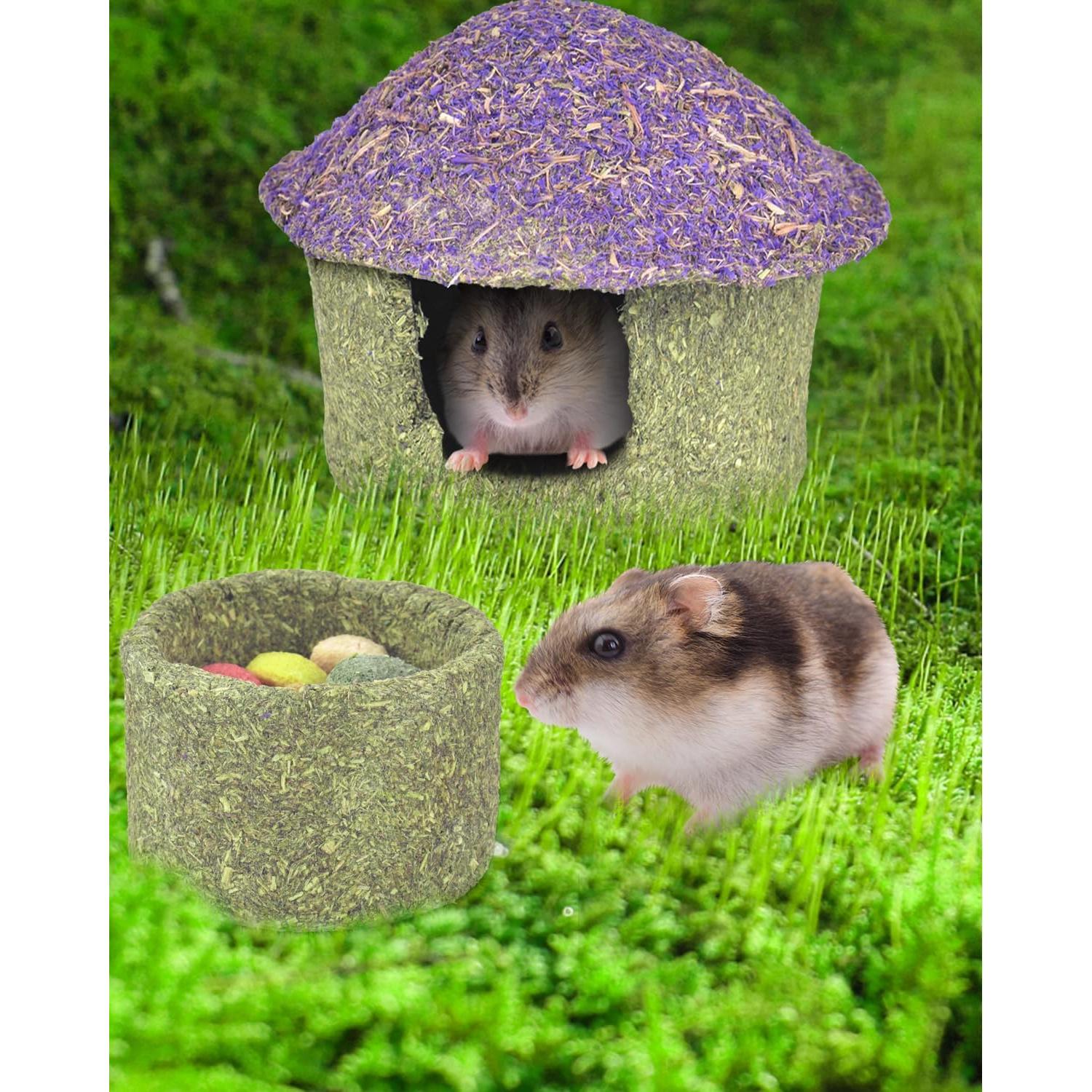 Tazón Masticable ERKOON para Hámster y Roedores Pequeños