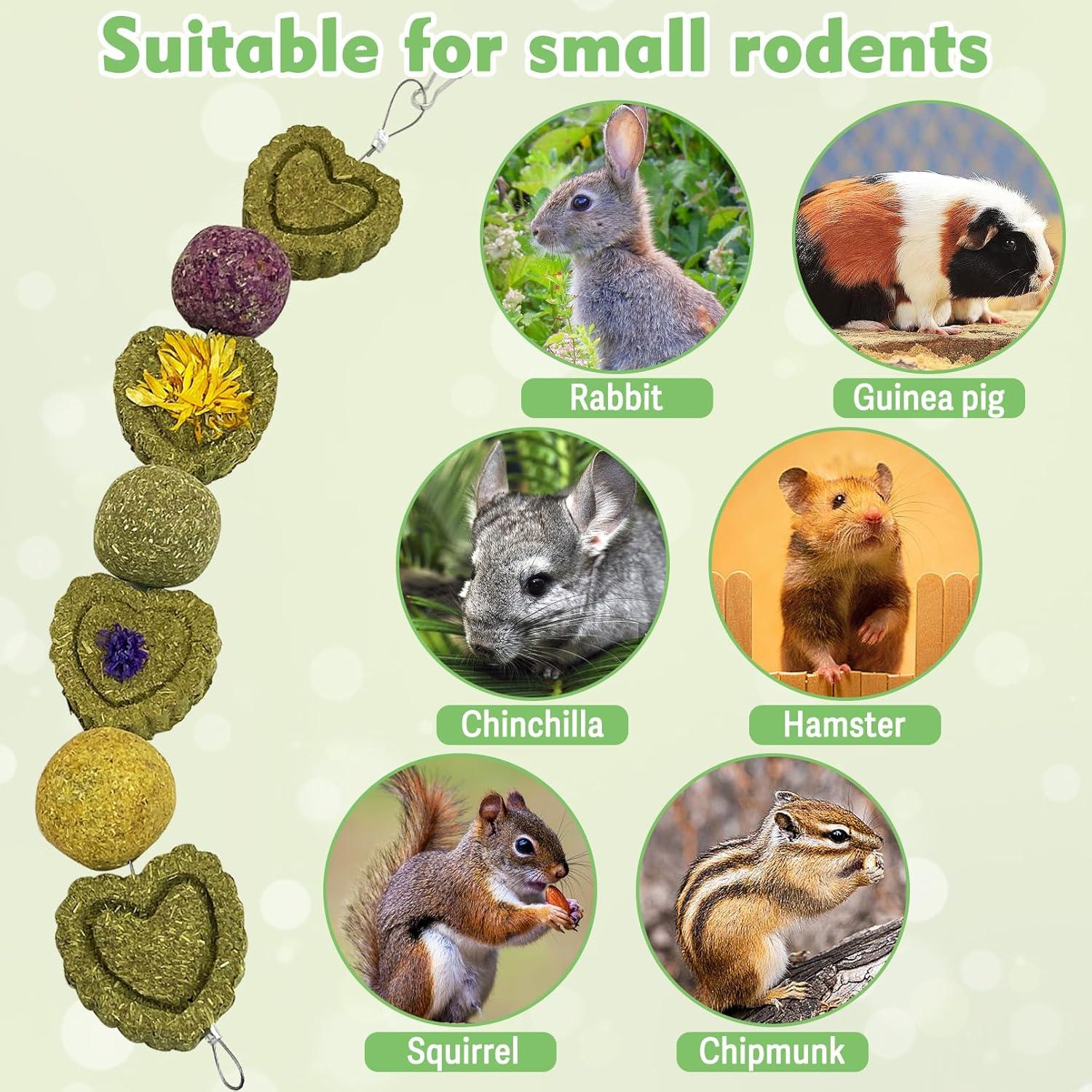 Juguetes de Masticar para Conejos Kathson - 3 Piezas Heno Timothy