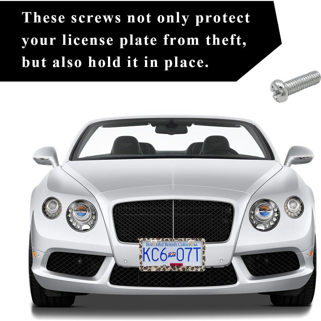 Marco de Placa de Licencia Ziciner Bling Leopardo 2PCS