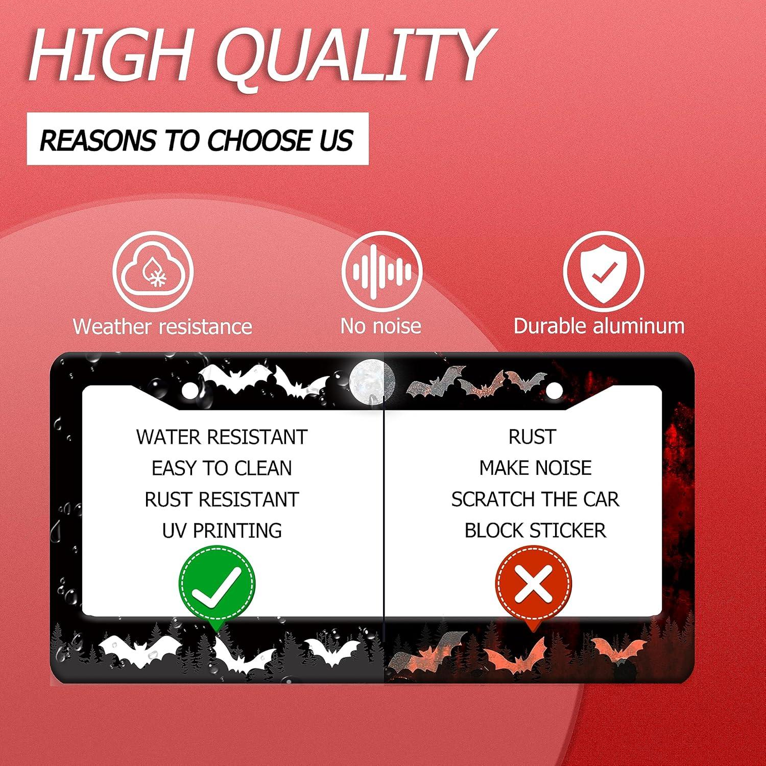 Marco de Placa de Licencia GORSNKYE Acero Inoxidable 31.2x16cm