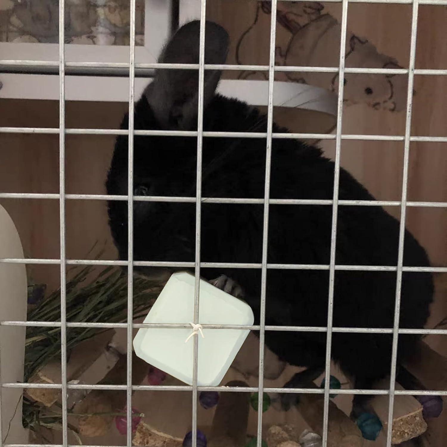 Bloques de Lava para Masticar BLSMU - 8 Piezas para Roedores