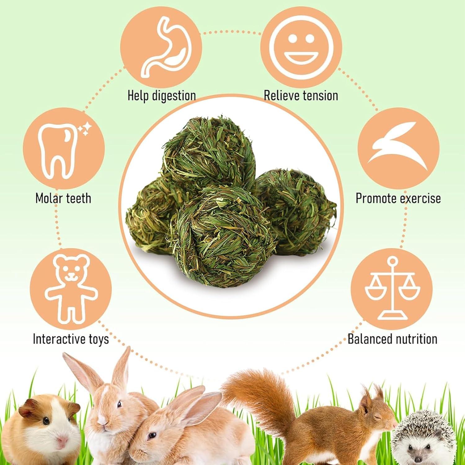 Hamiledyi 4 Pcs Juguetes de Masticar para Conejos y Cobayas