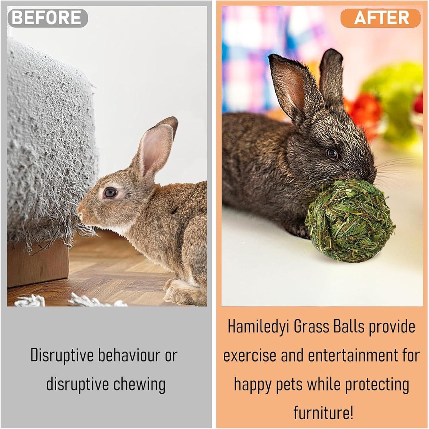 Hamiledyi 4 Pcs Juguetes de Masticar para Conejos y Cobayas