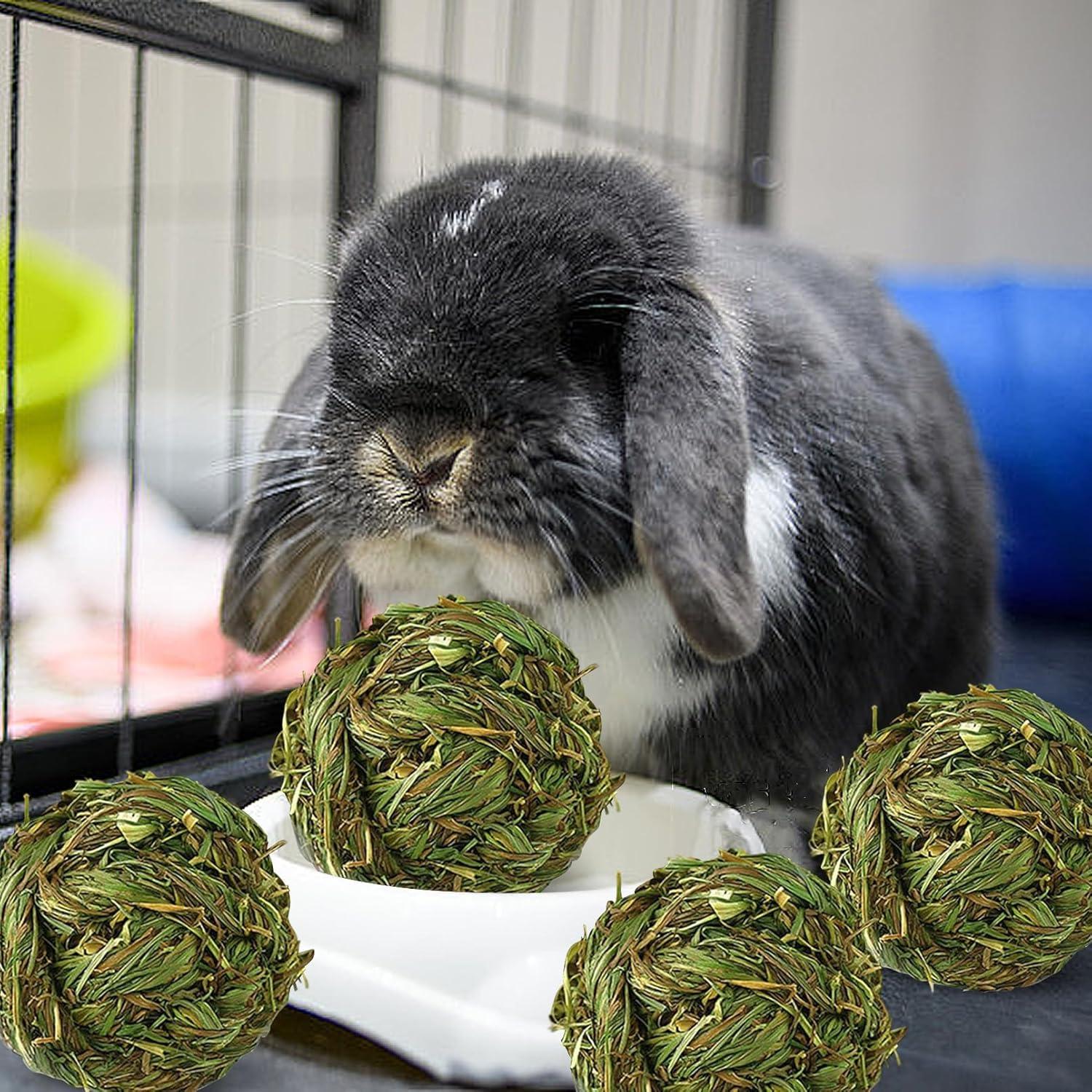 Hamiledyi 4 Pcs Juguetes de Masticar para Conejos y Cobayas