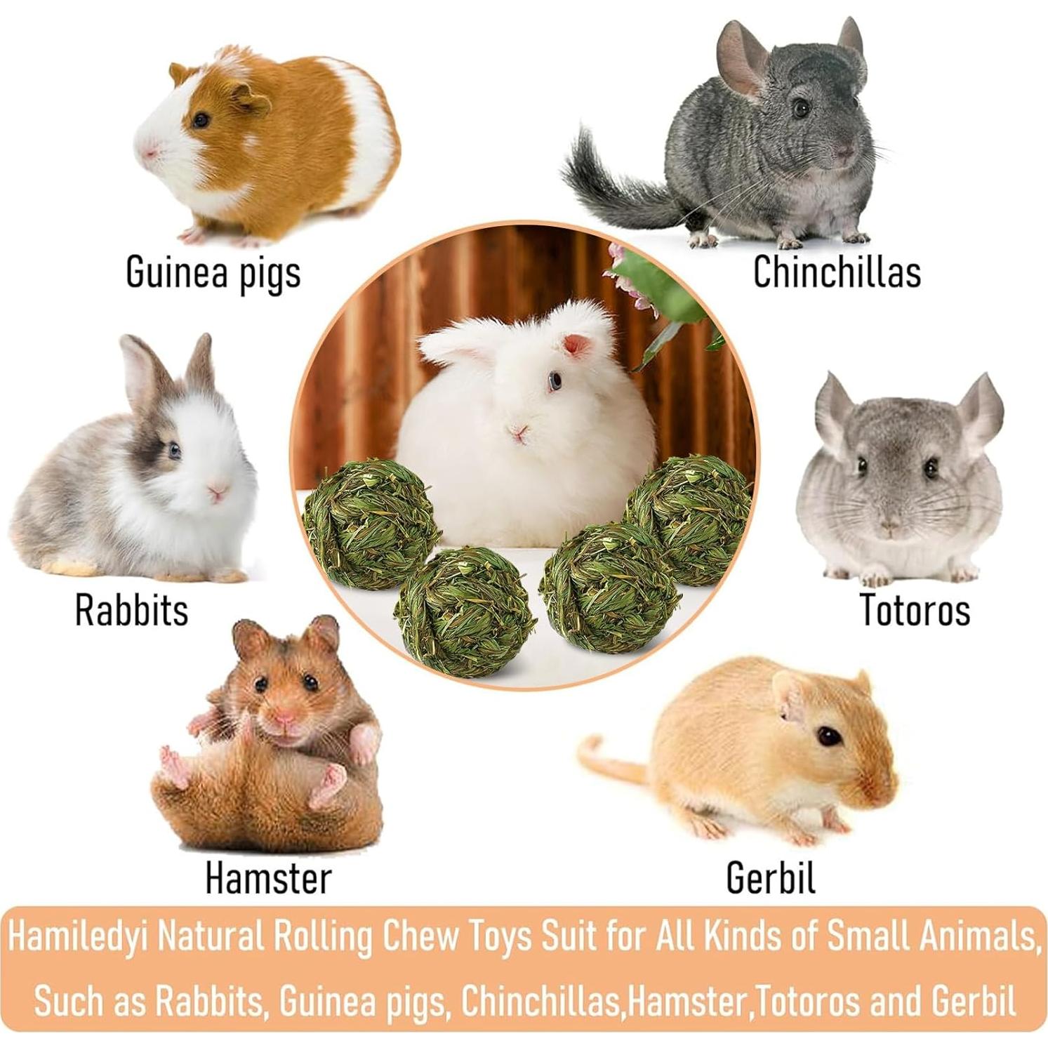 Hamiledyi 4 Pcs Juguetes de Masticar para Conejos y Cobayas