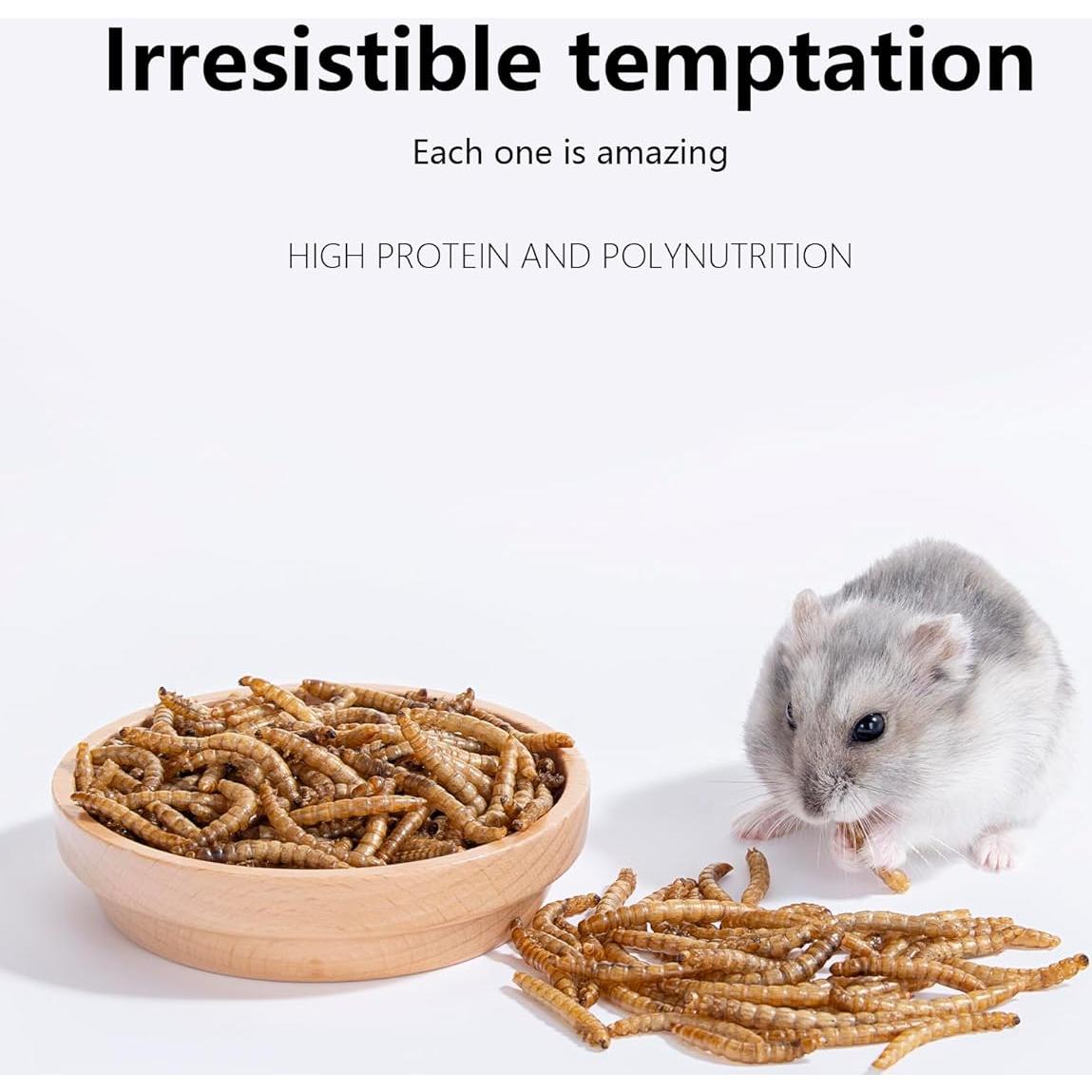 Snack Natural para Hámsters Niteangel - Gusanos Secos 28g