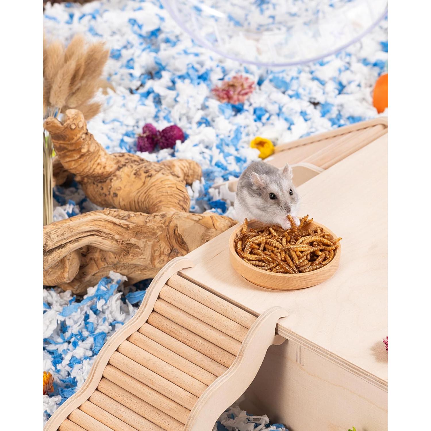 Snack Natural para Hámsters Niteangel - Gusanos Secos 28g