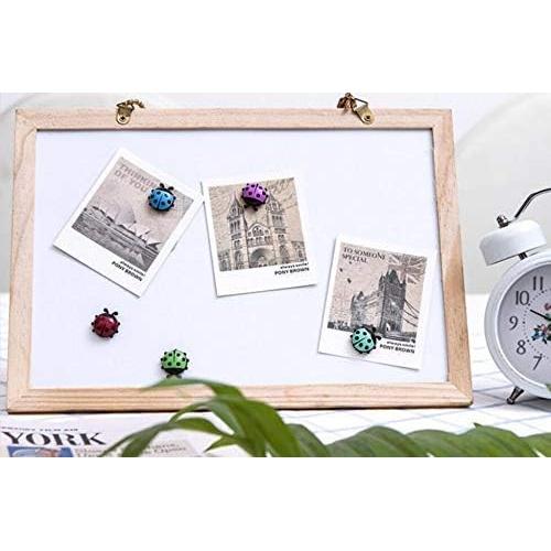 Imanes de Refrigerador YQBOOM Mariquita 12 Piezas Coloridos