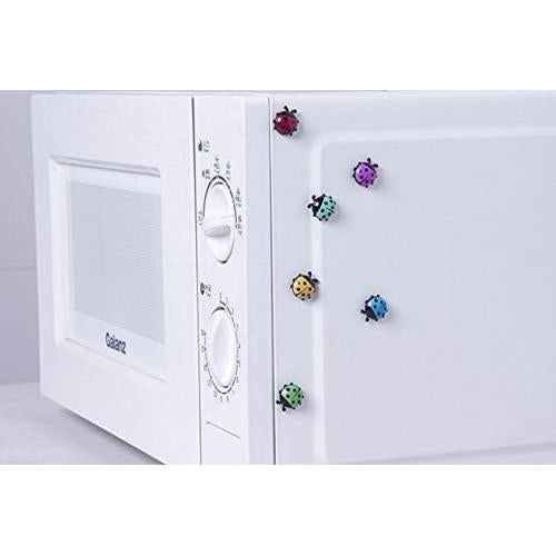 Imanes de Refrigerador YQBOOM Mariquita 12 Piezas Coloridos