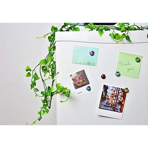 Imanes de Refrigerador YQBOOM Mariquita 12 Piezas Coloridos