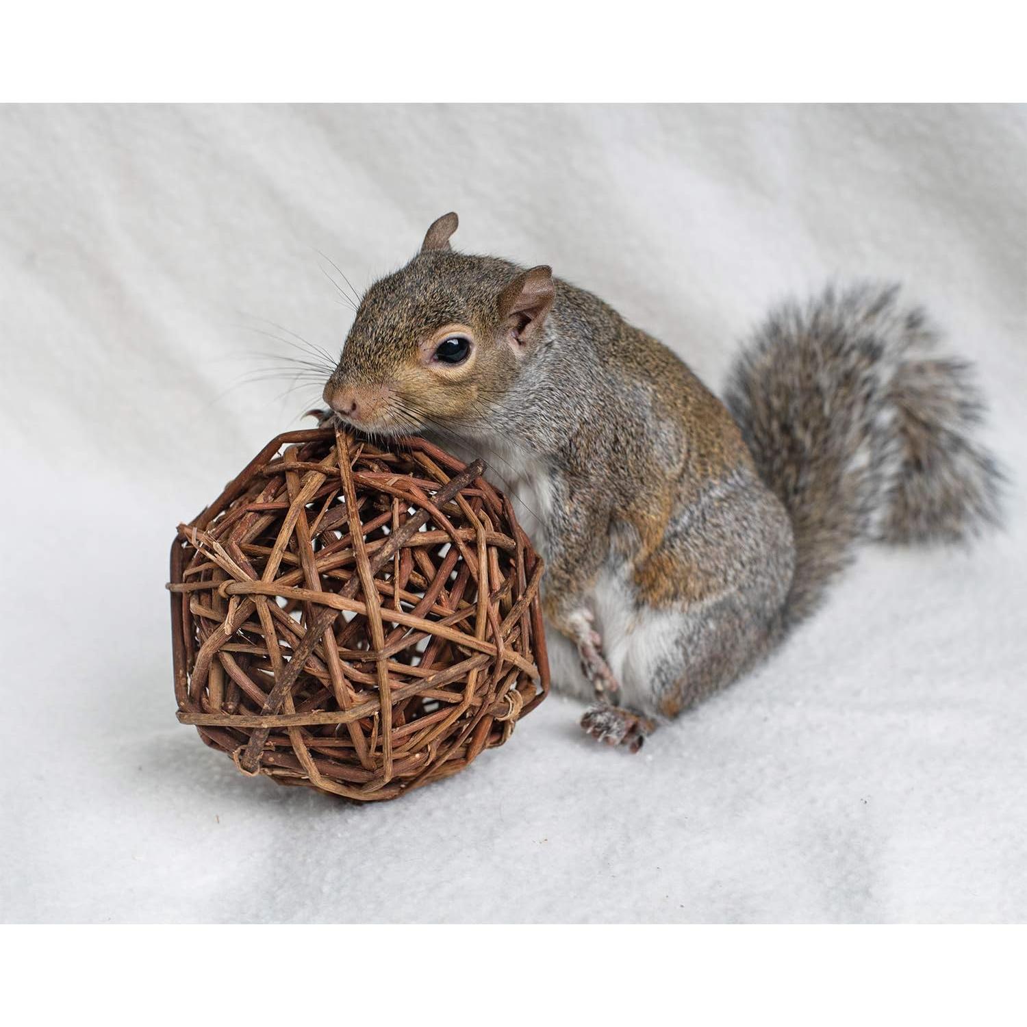 Bola de Masticar de Sauce Natural 10 cm Exotic Nutrition