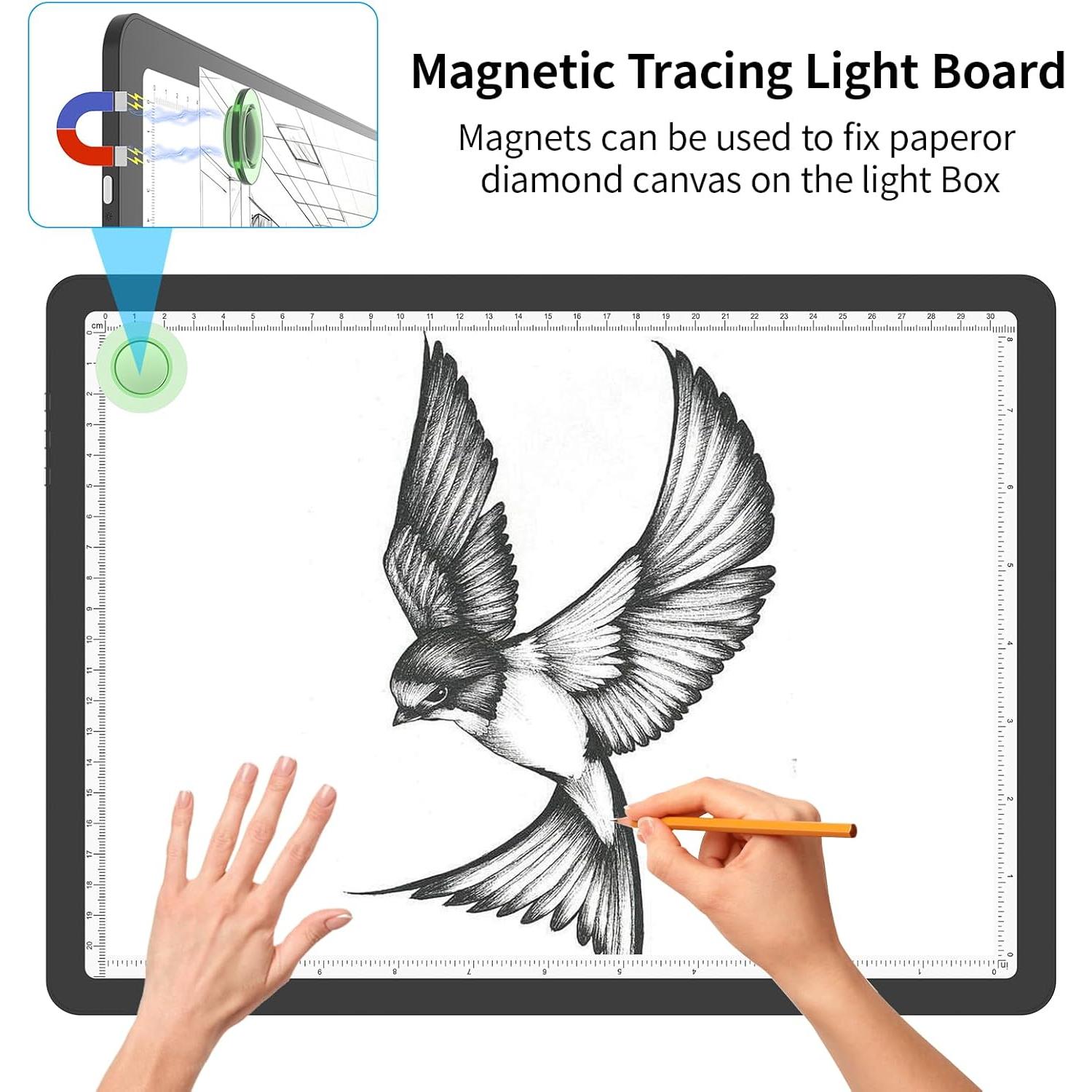 Tabla de Luz LED A4 Phylosal, Super Brillante, Negro