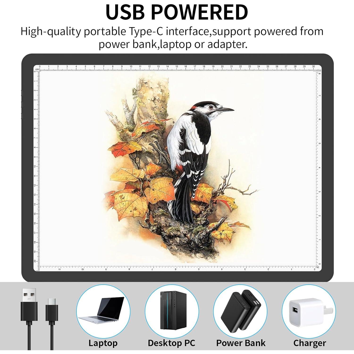 Tabla de Luz LED A4 Phylosal, Super Brillante, Negro