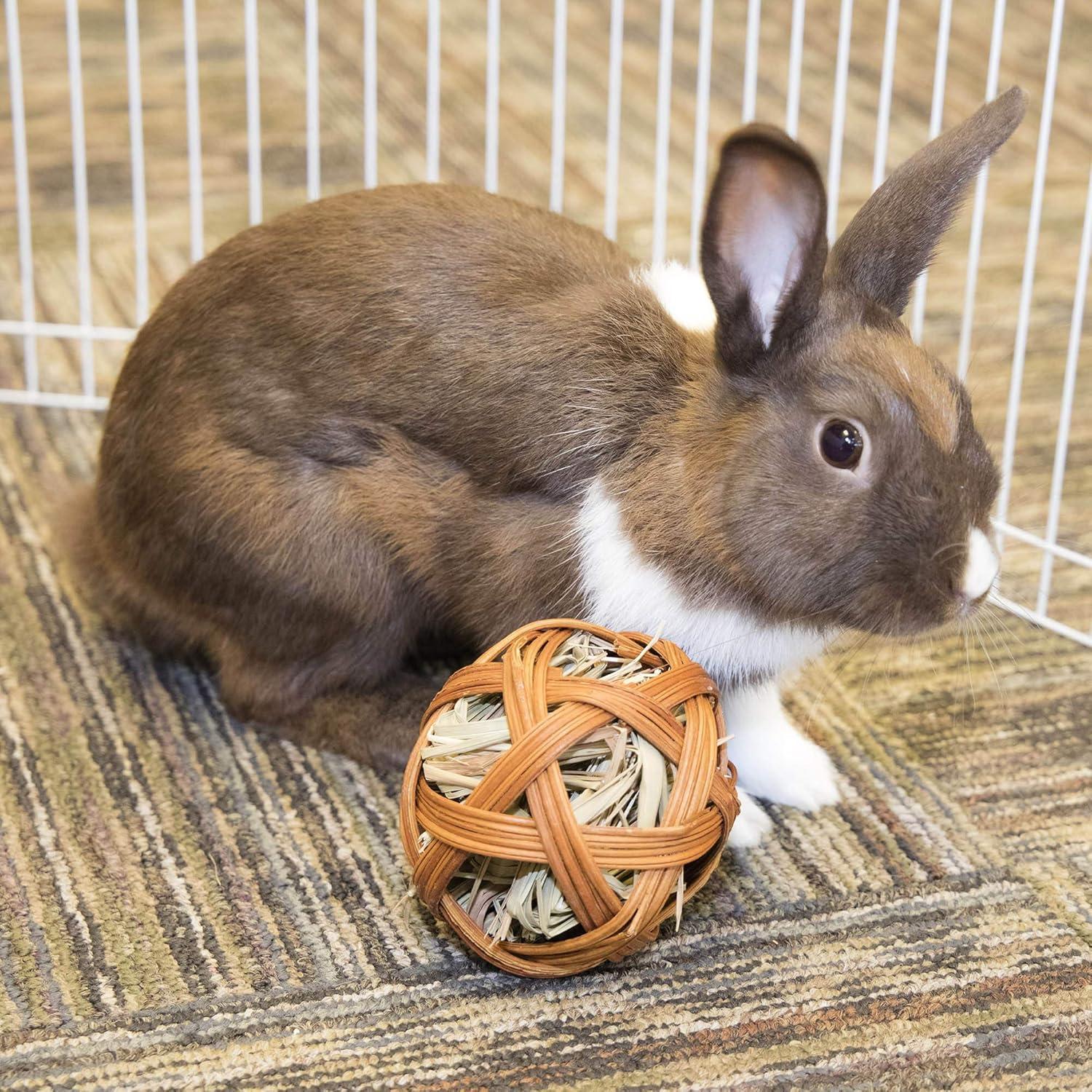 Bola Masticable Comestible para Mascotas Pequeñas Ware 10 cm