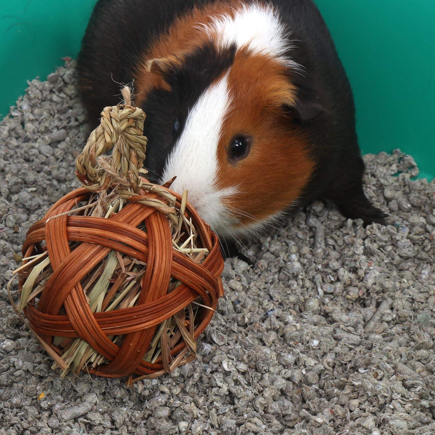 Bola Masticable Comestible para Mascotas Pequeñas Ware 10 cm