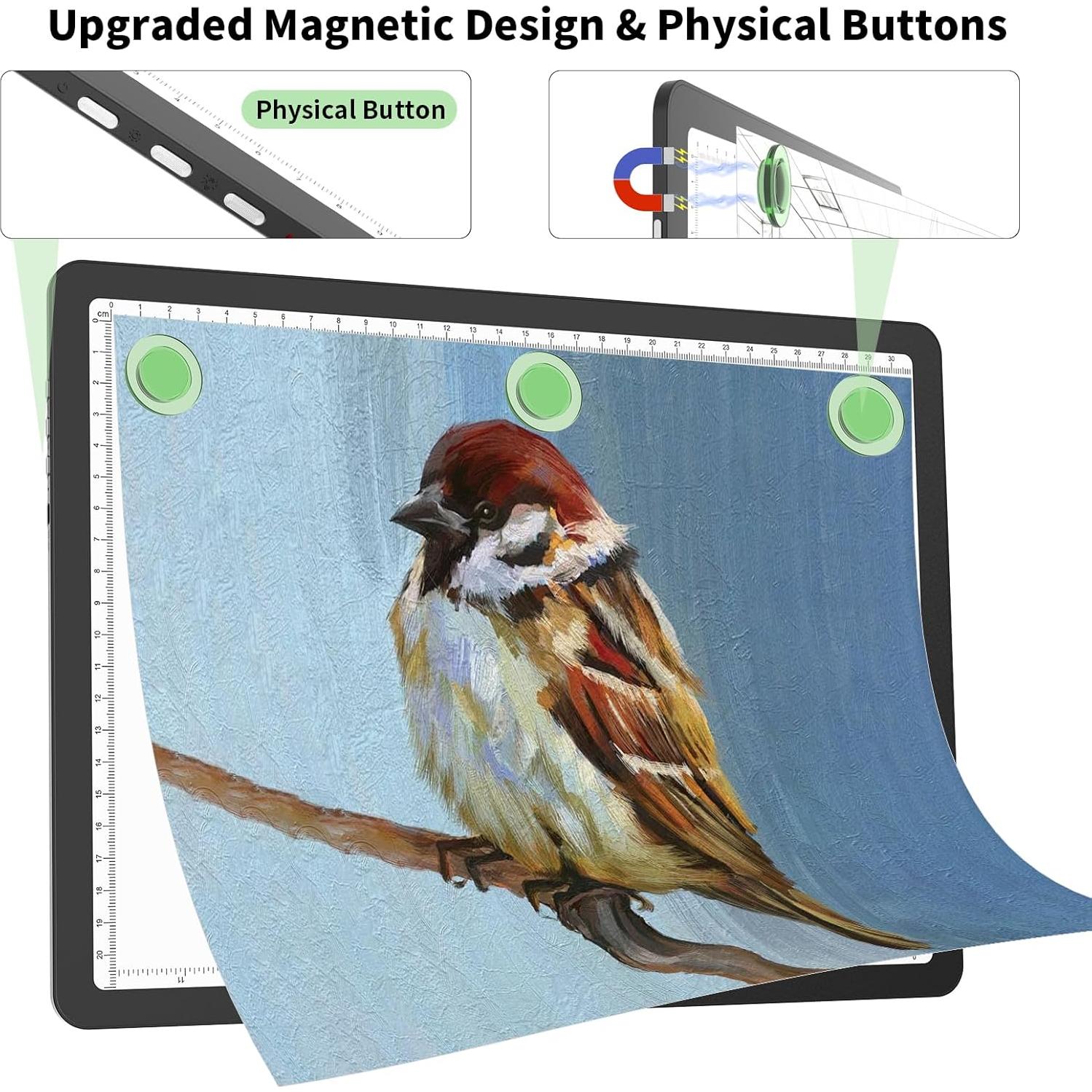 Tableta de Luz LED A4 Phylosal Recargable Magnética Negra