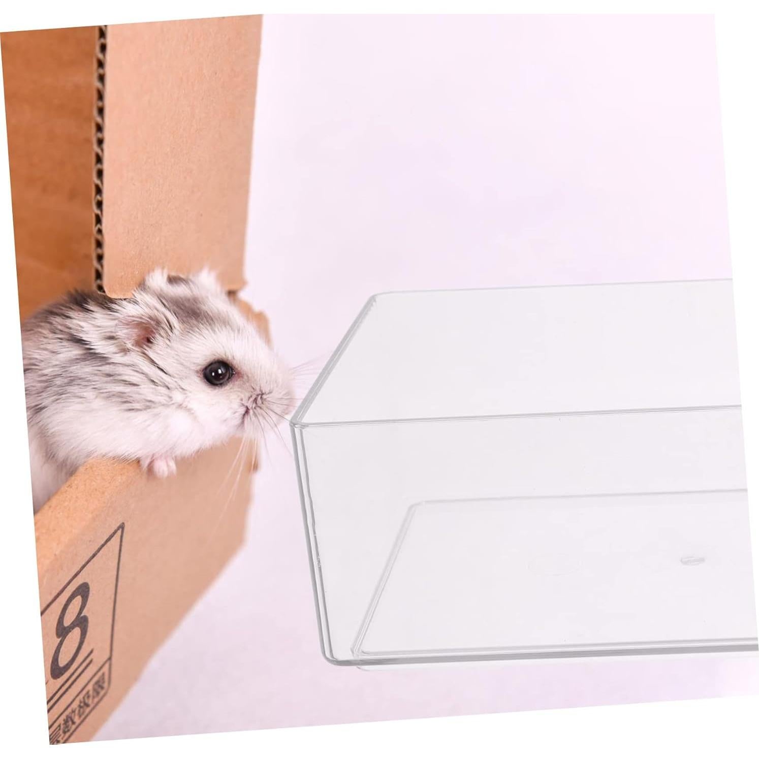 Caja de Baño de Arena Transparente GANAZONO para Hámster 15x10cm