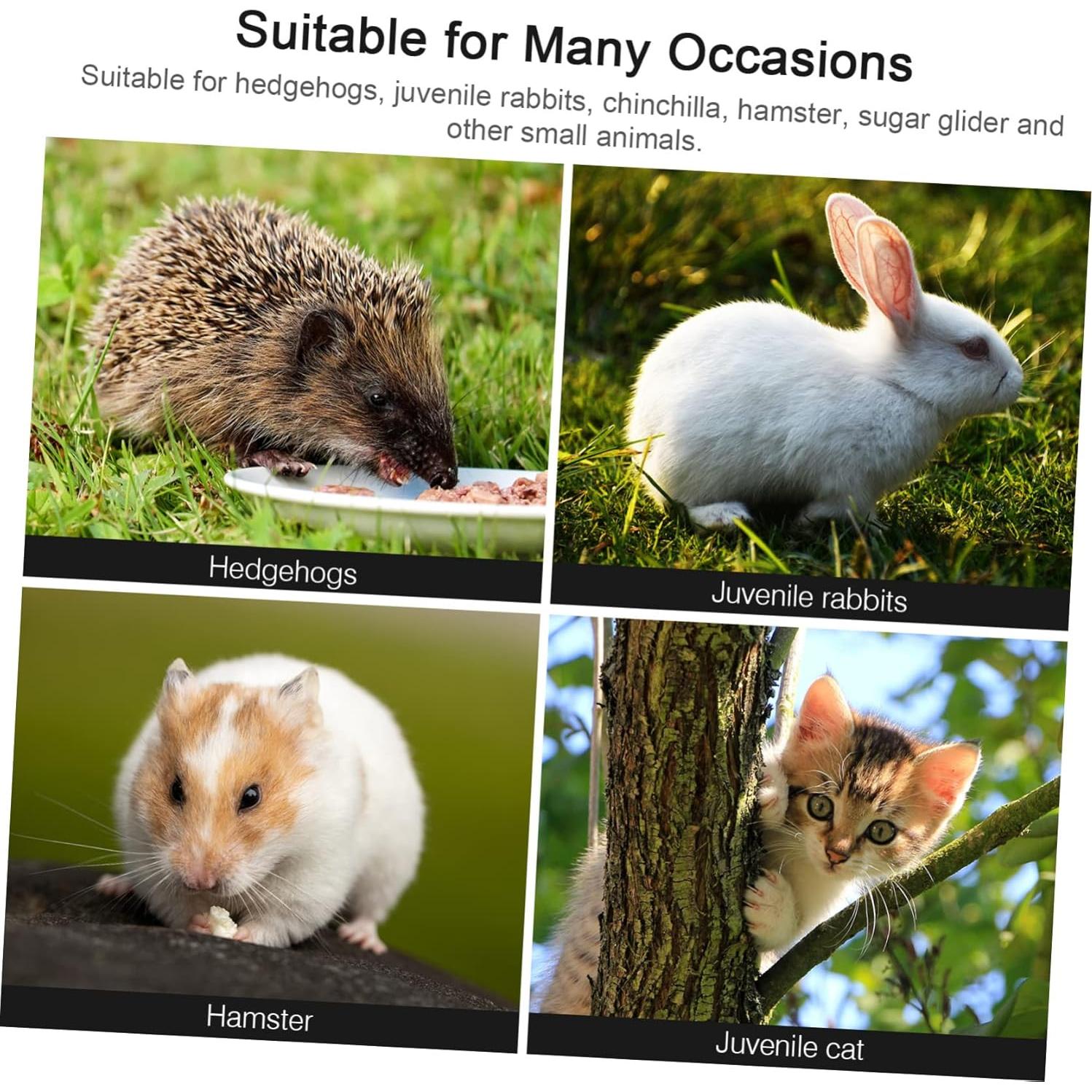 Caja de Baño de Arena Transparente GANAZONO para Hámster 15x10cm