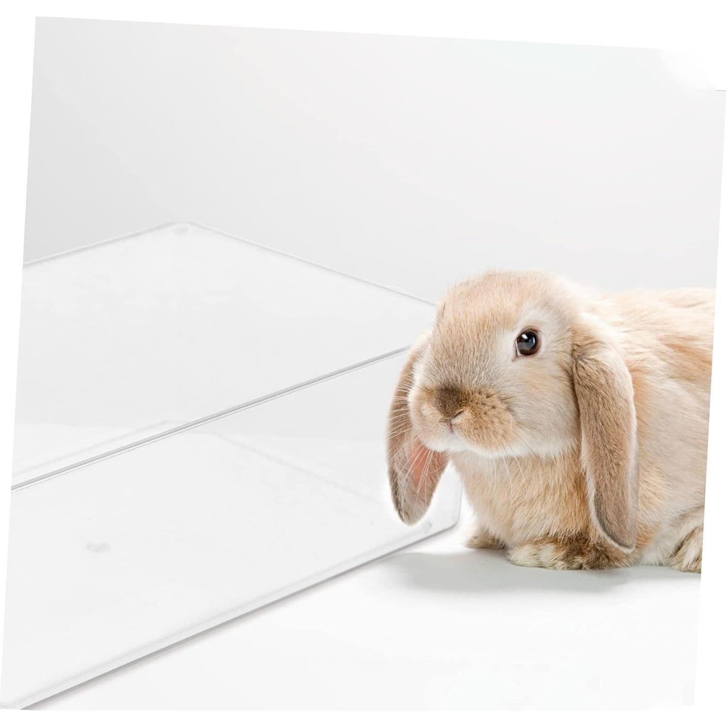 Caja de Baño de Arena Transparente GANAZONO para Hámster 15x10cm