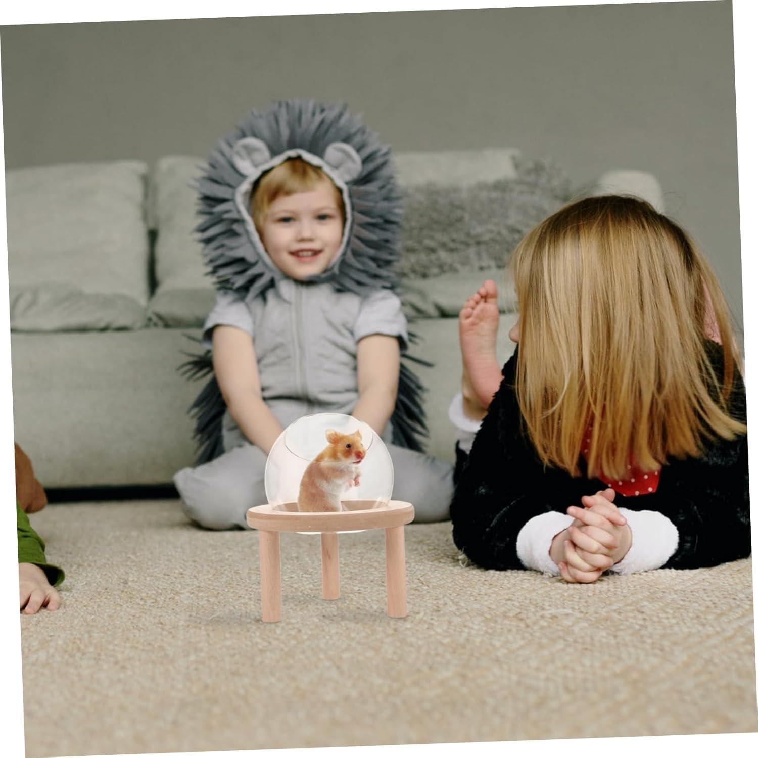 Bañera de vidrio para hámsters y mascotas pequeñas Toddmomy