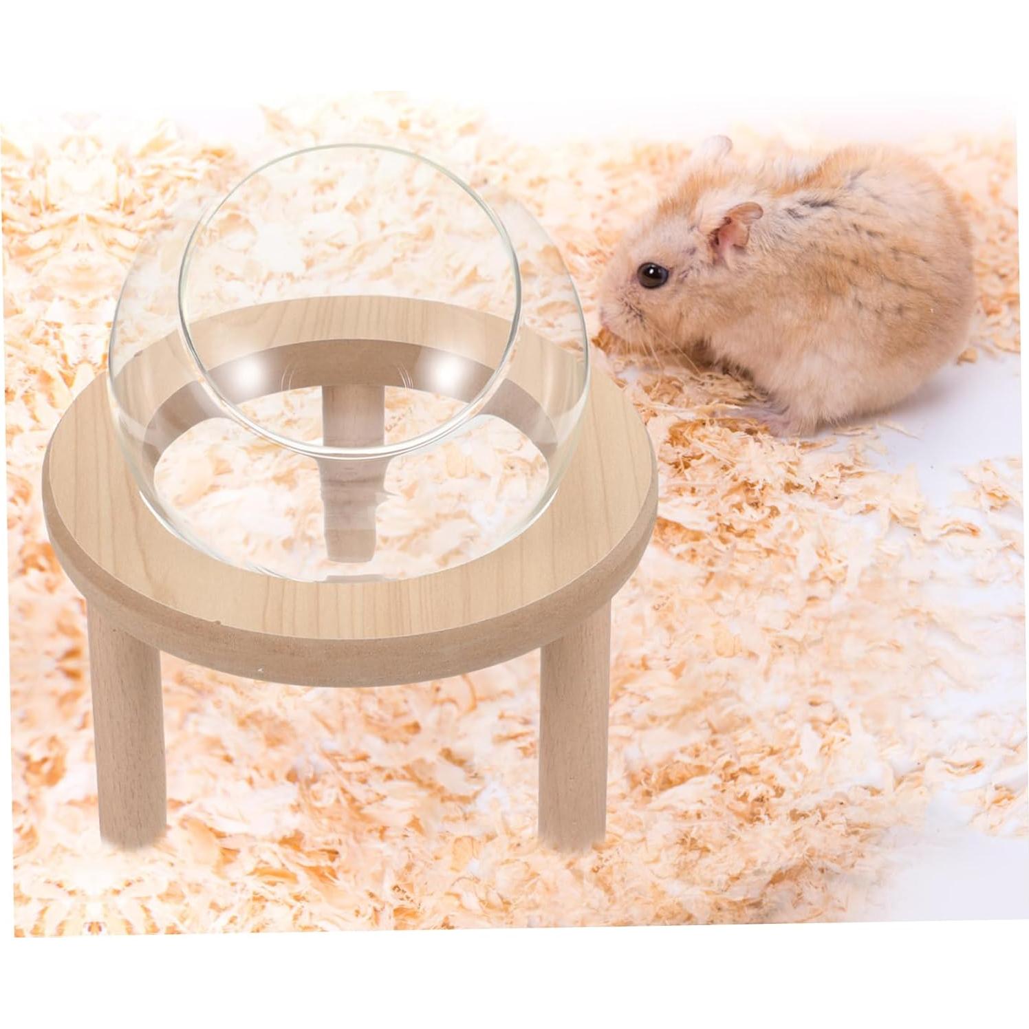 Bañera de vidrio para hámsters y mascotas pequeñas Toddmomy