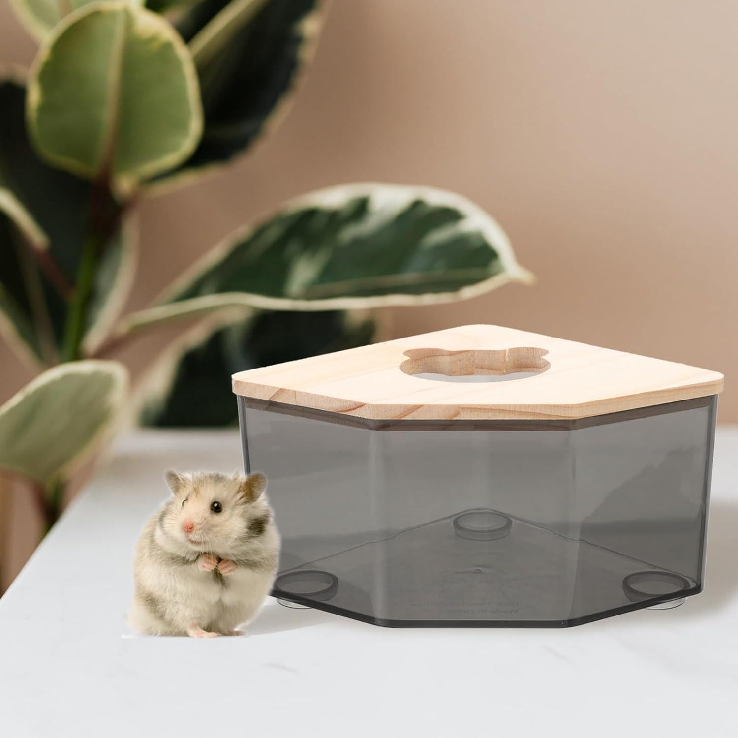 Baño de Arena para Hámster Abaodam 15x15 cm Acrílico Multiusos