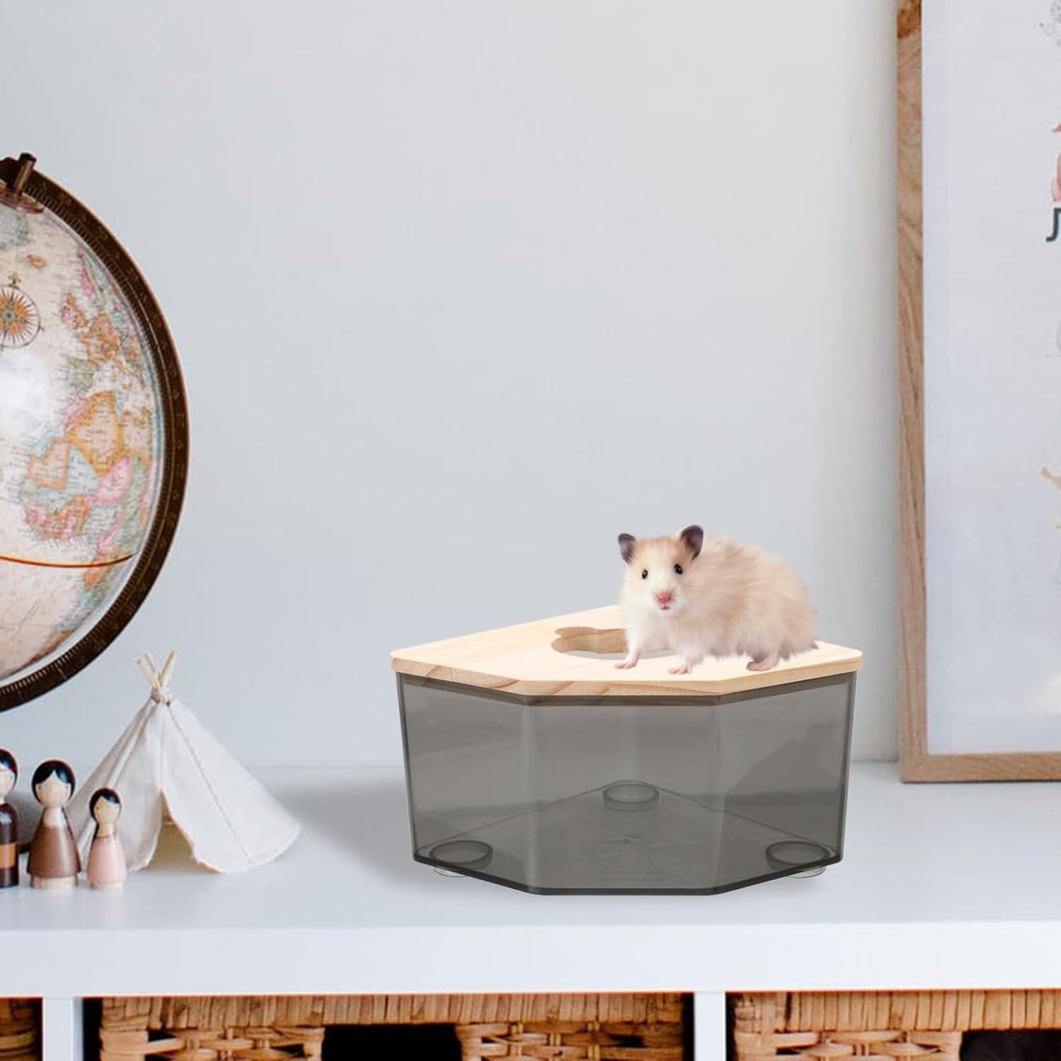 Baño de Arena para Hámster Abaodam 15x15 cm Acrílico Multiusos