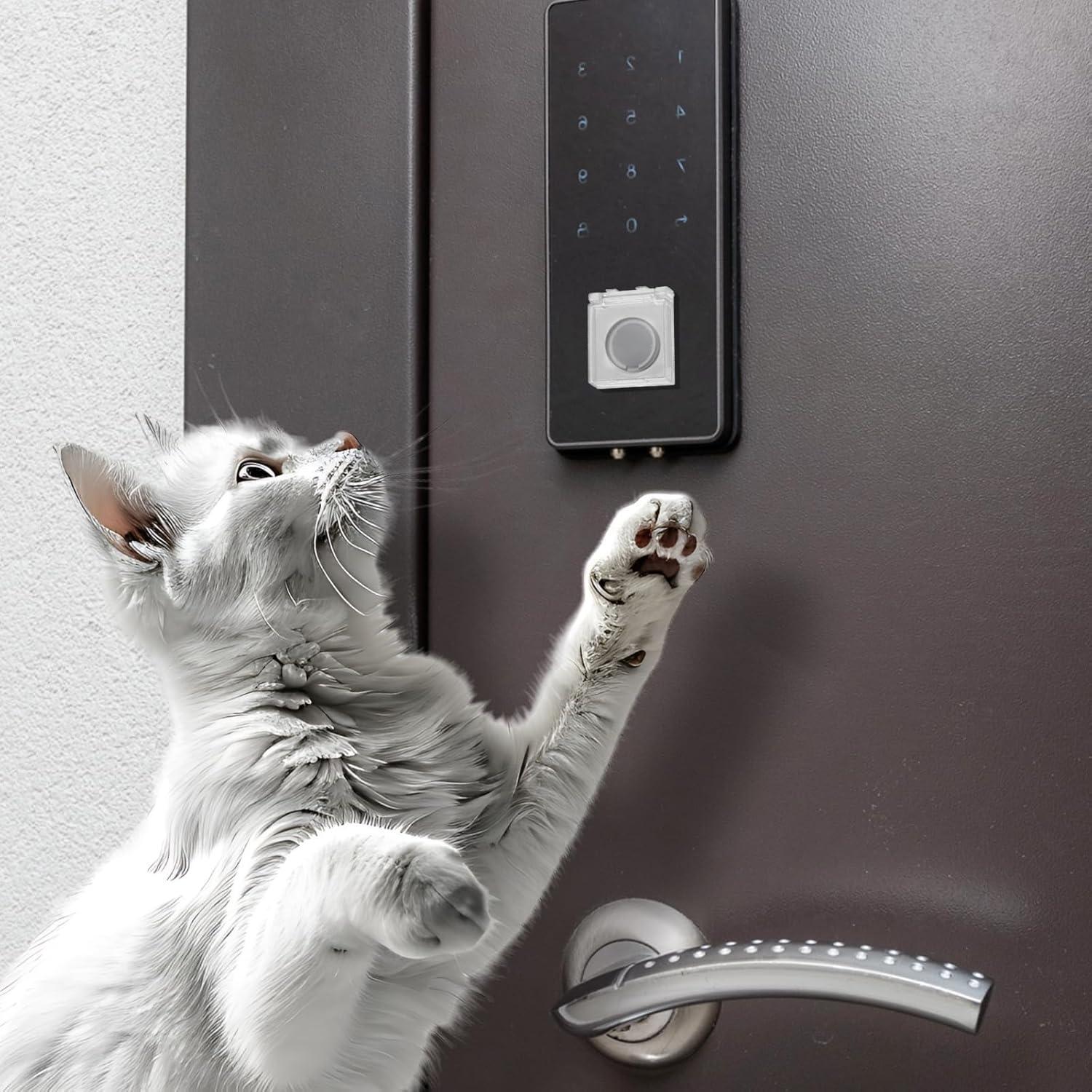 Cubiertas de Interruptor de Luz Qianyu 2 Pcs Acrílico Transparente