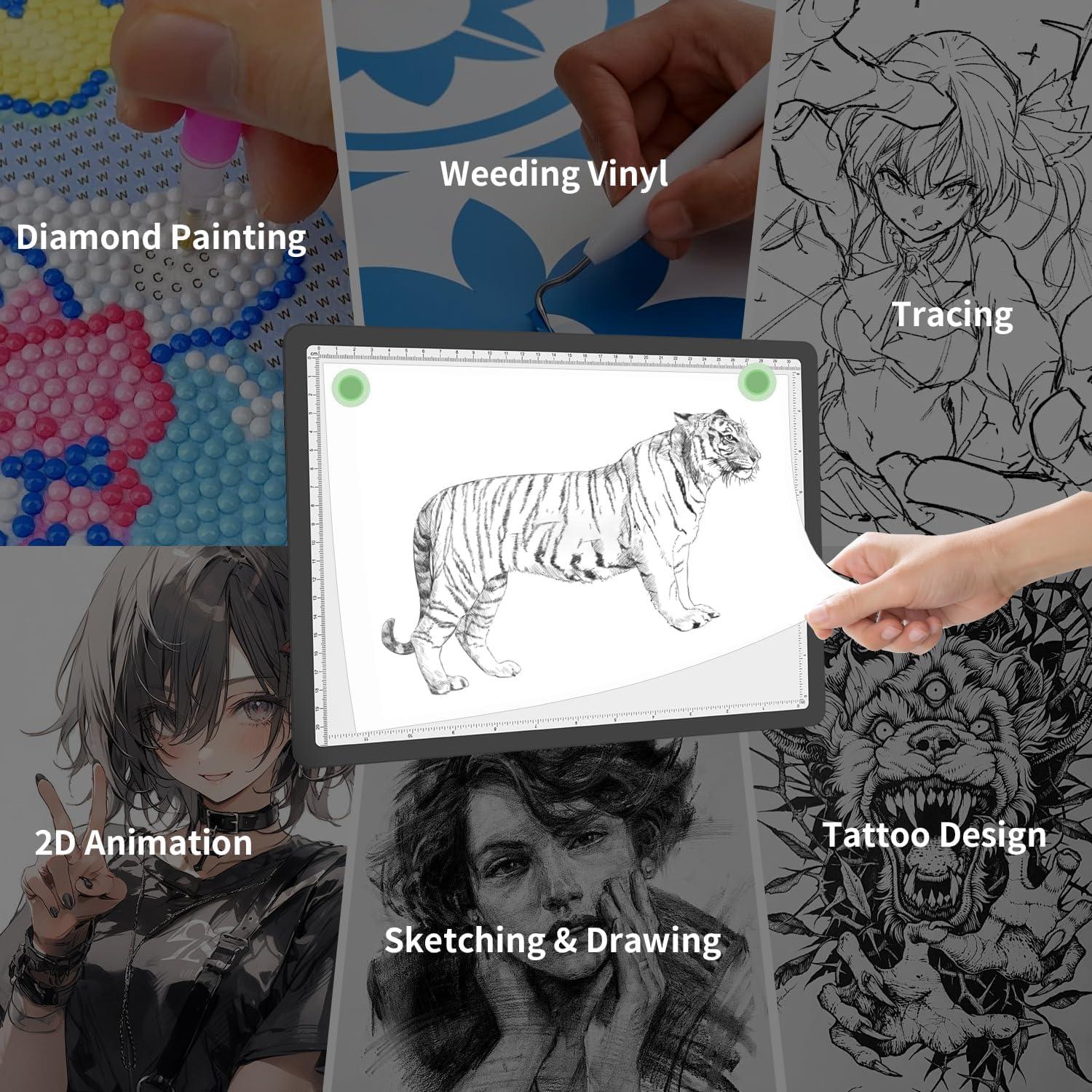 Tabla de Luz A4 KEIWRLIGHT LED 9000 Lux Recargable