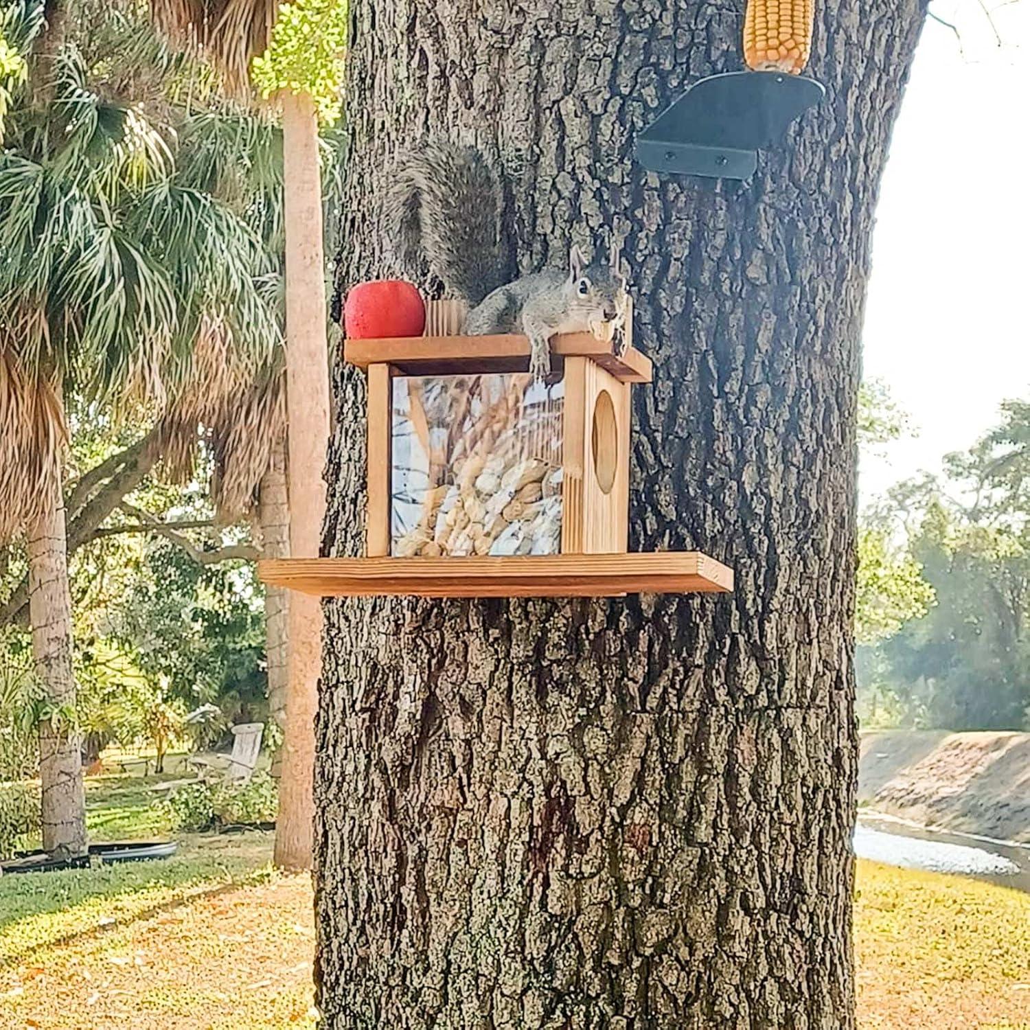 Comedero para Ardillas de Madera Carbonizada Kaiciuss 1.27kg