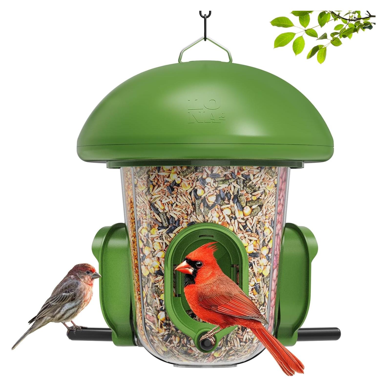 Comedero para Aves LONA Verde 3 Compartimentos Resistente