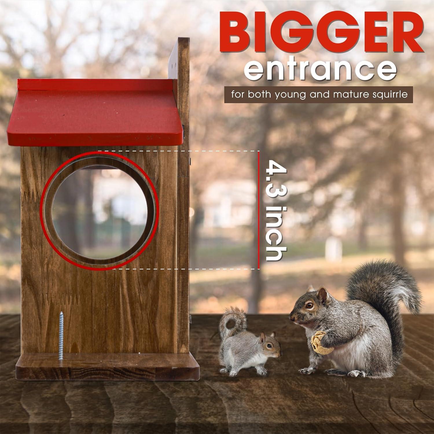 Comedero Grande para Ardillas DITAVN Impermeable 41x17x35cm