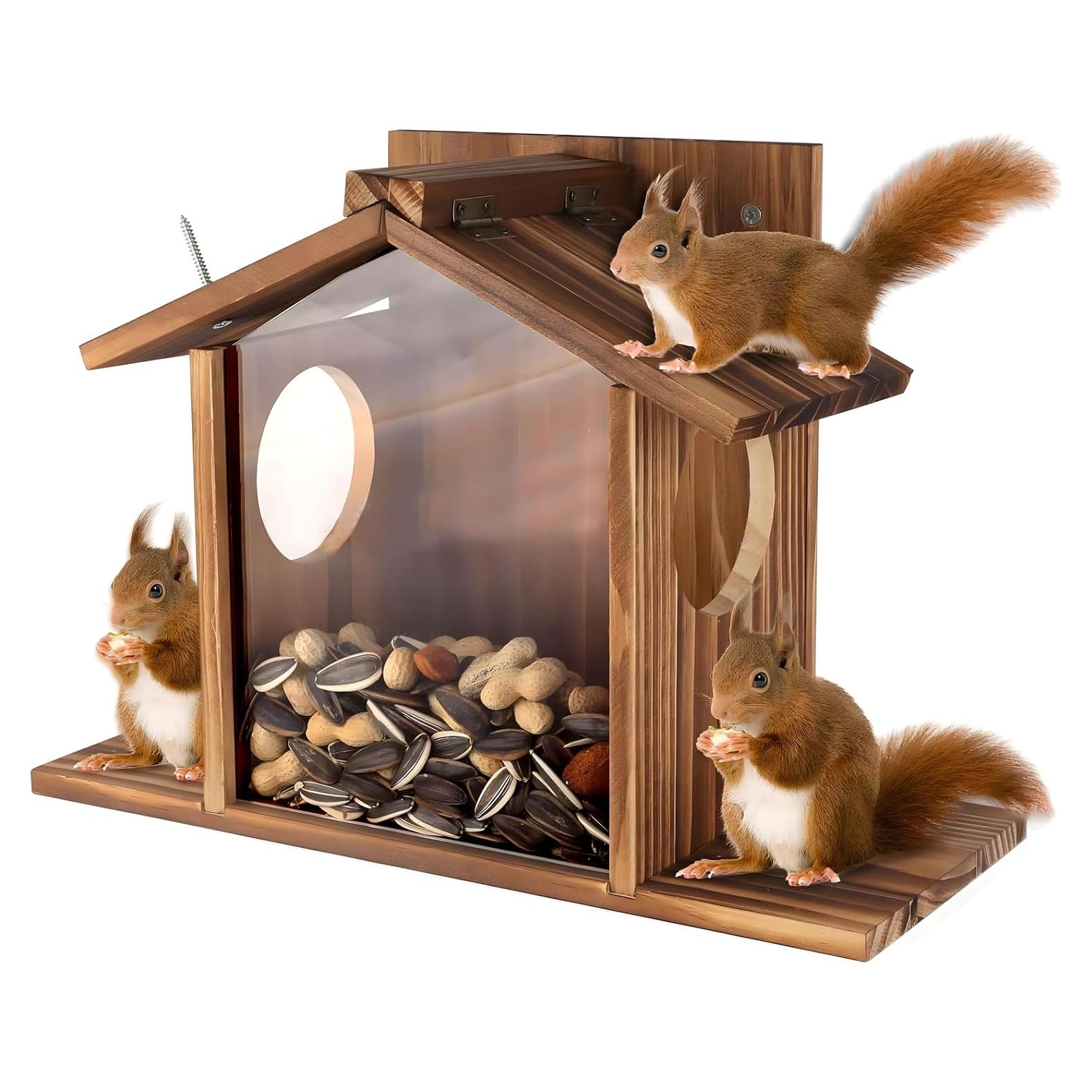 Comedero para Ardillas Gnodry de Madera con Panel Acrílico
